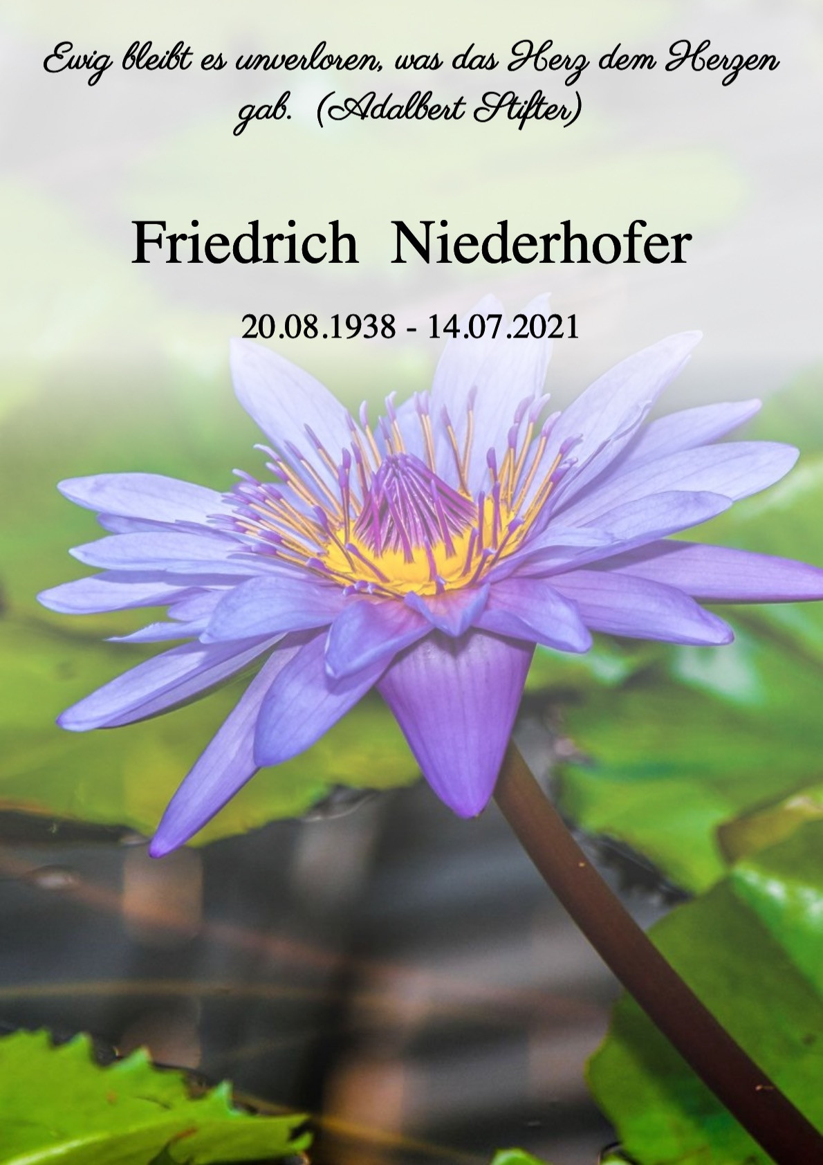 Traueranzeige von Friedrich Niederhofer