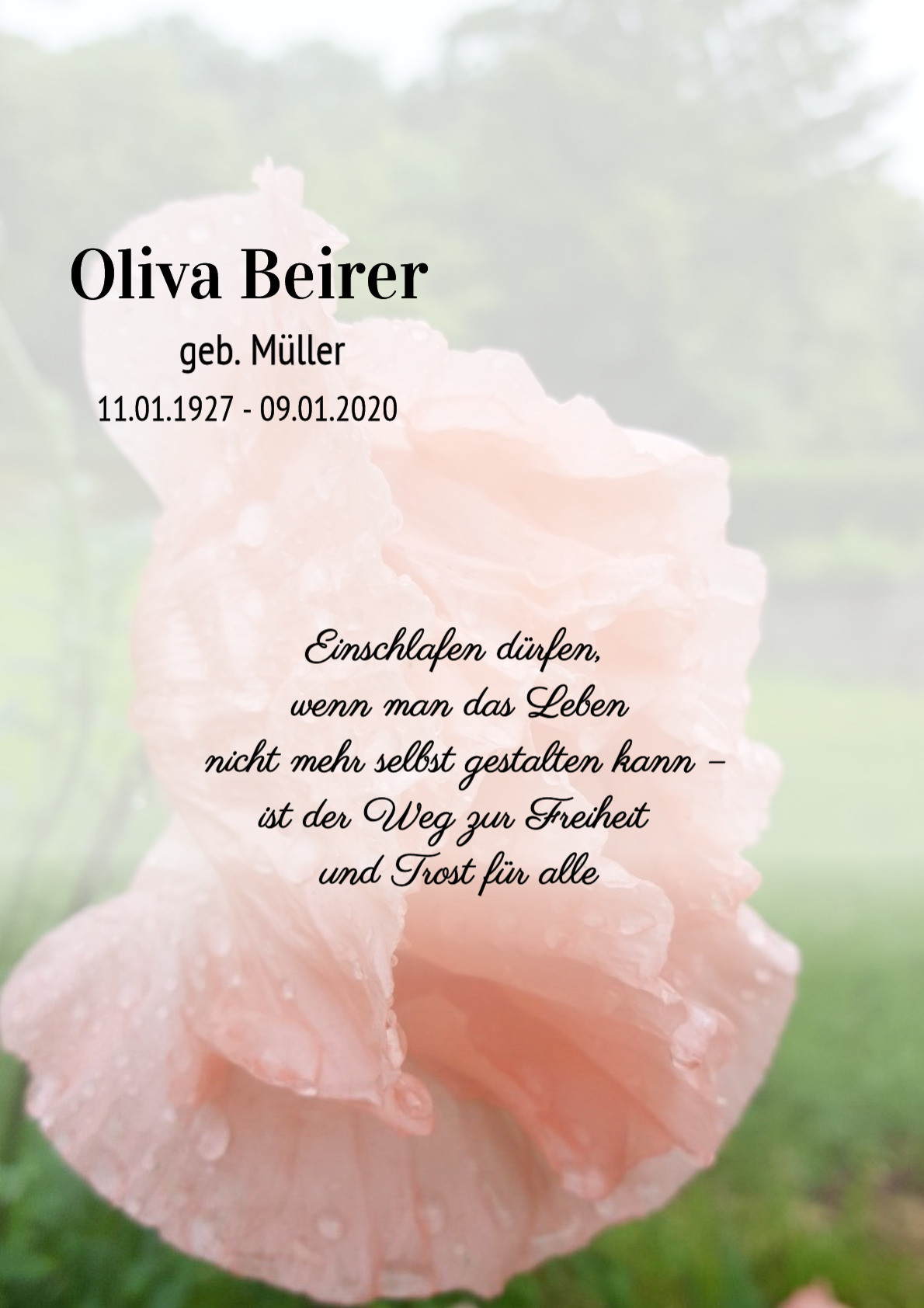 Traueranzeige von Oliva Beirer