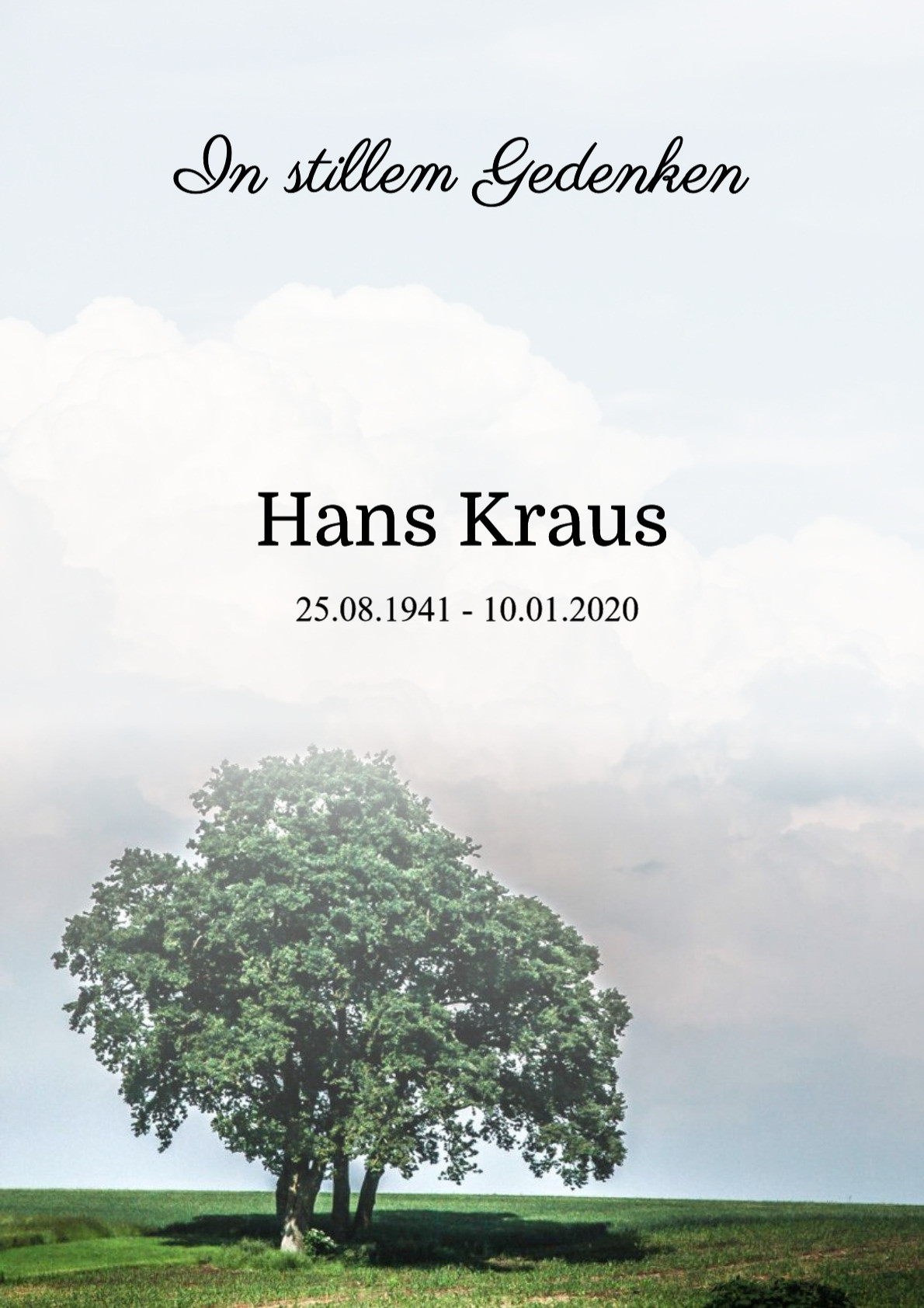 Traueranzeige von Hans Kraus