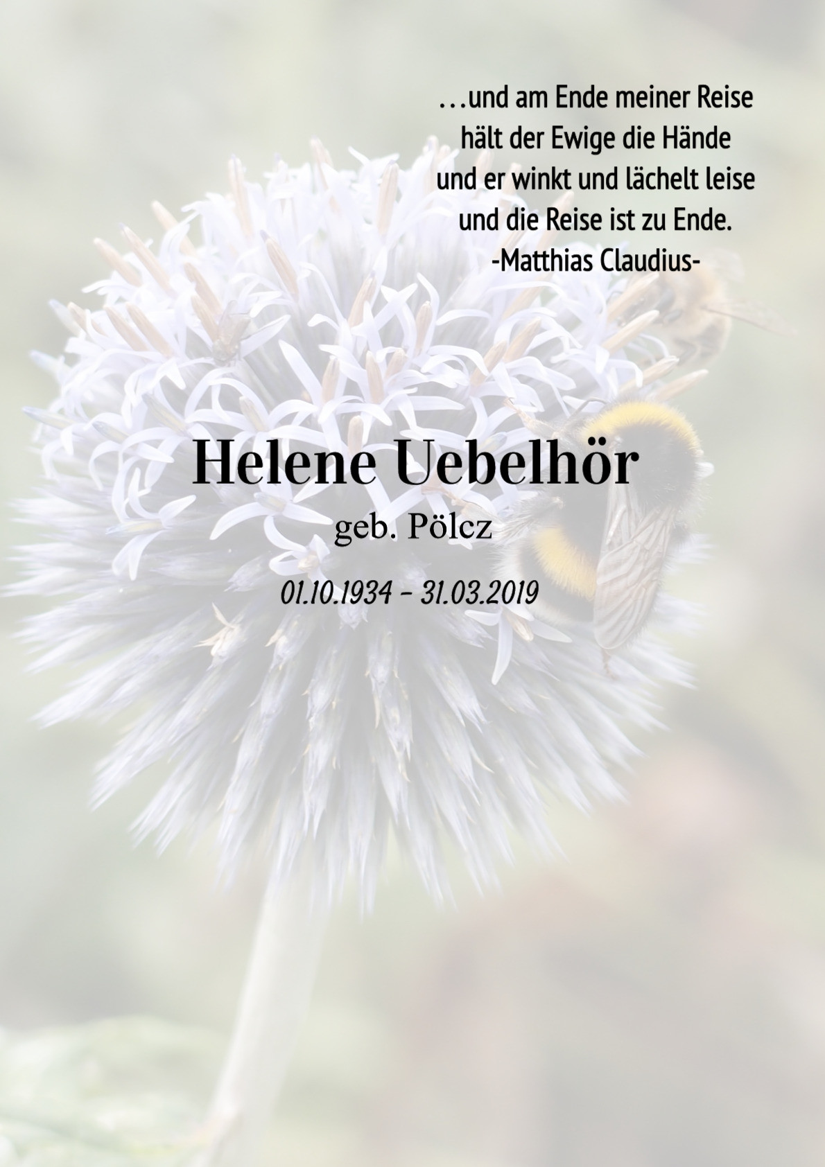 Traueranzeige von Helene Uebelhör