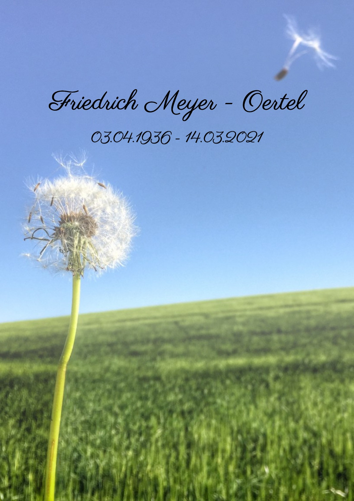 Traueranzeige von Friedrich Meyer - Oertel