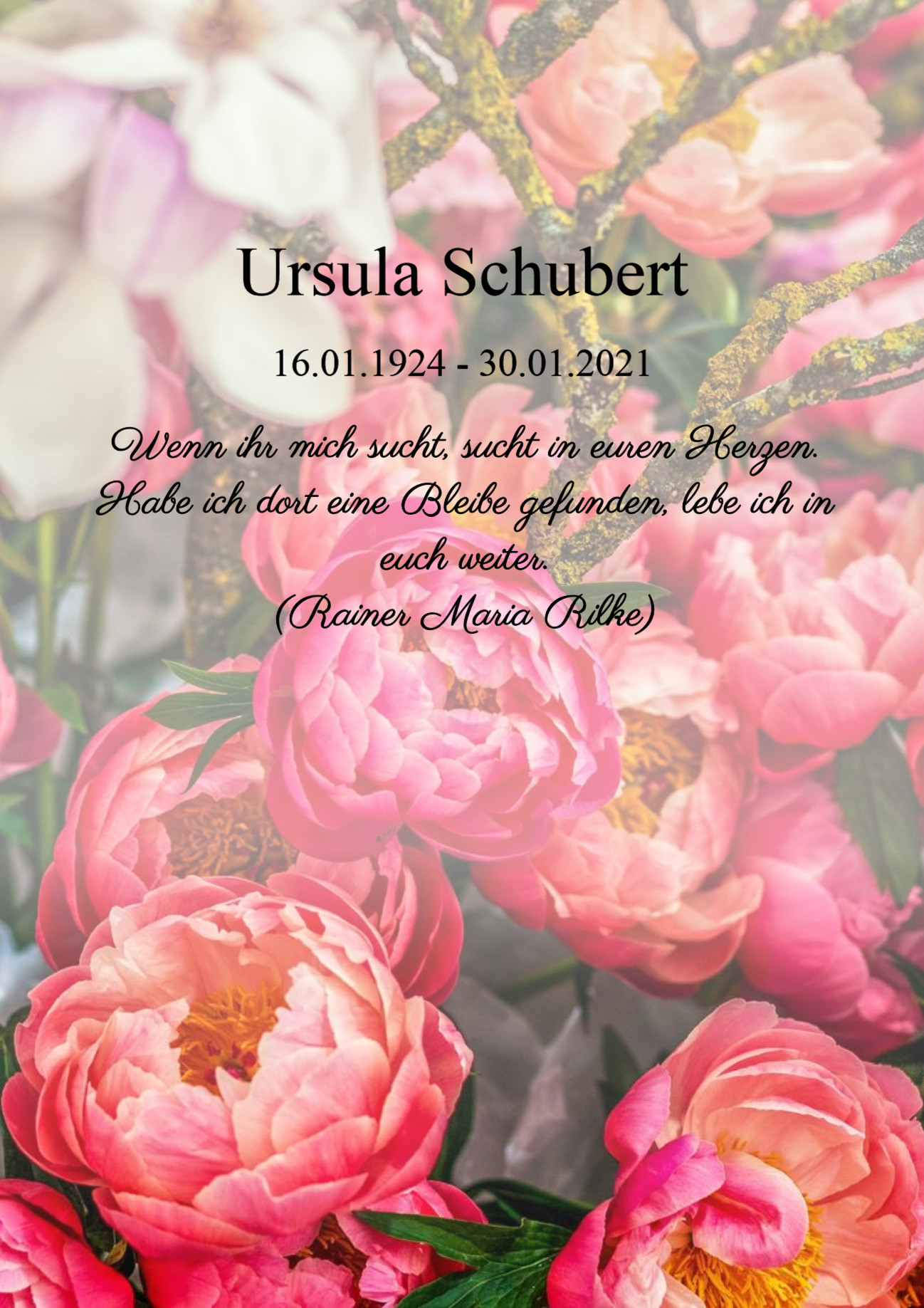 Traueranzeige von Ursula Schubert