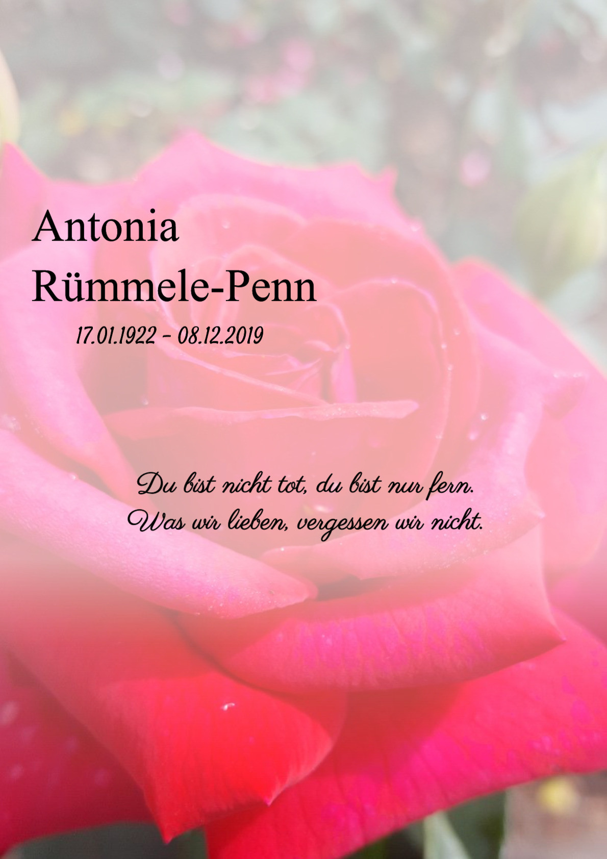 Traueranzeige von Antonia Rümmele-Penn