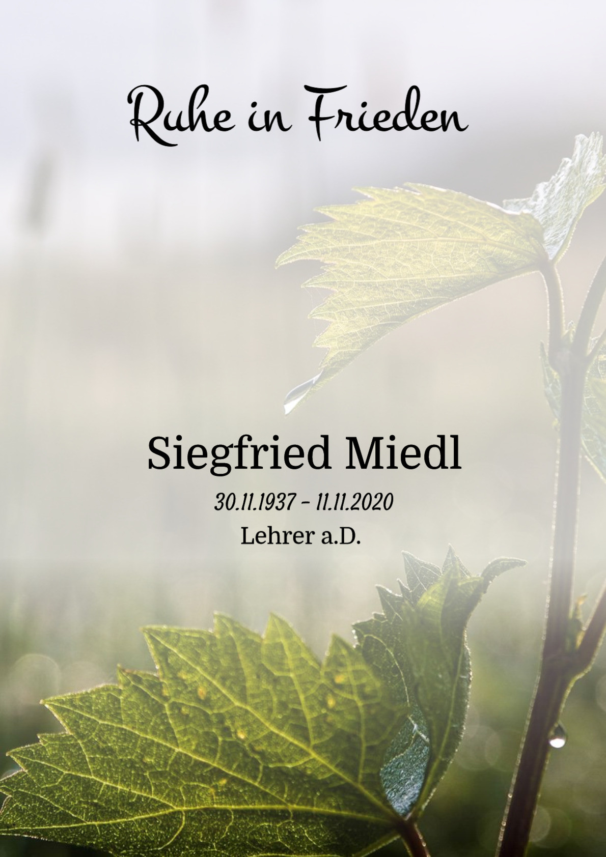 Traueranzeige von Siegfried Miedl