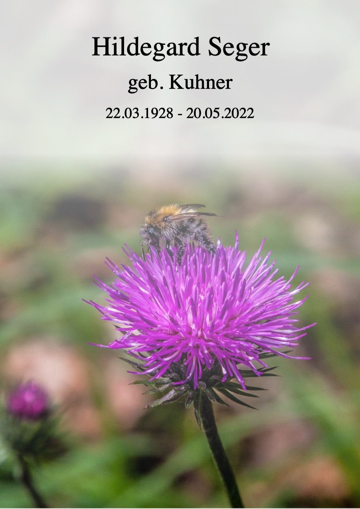 Traueranzeige von Hildegard Seger