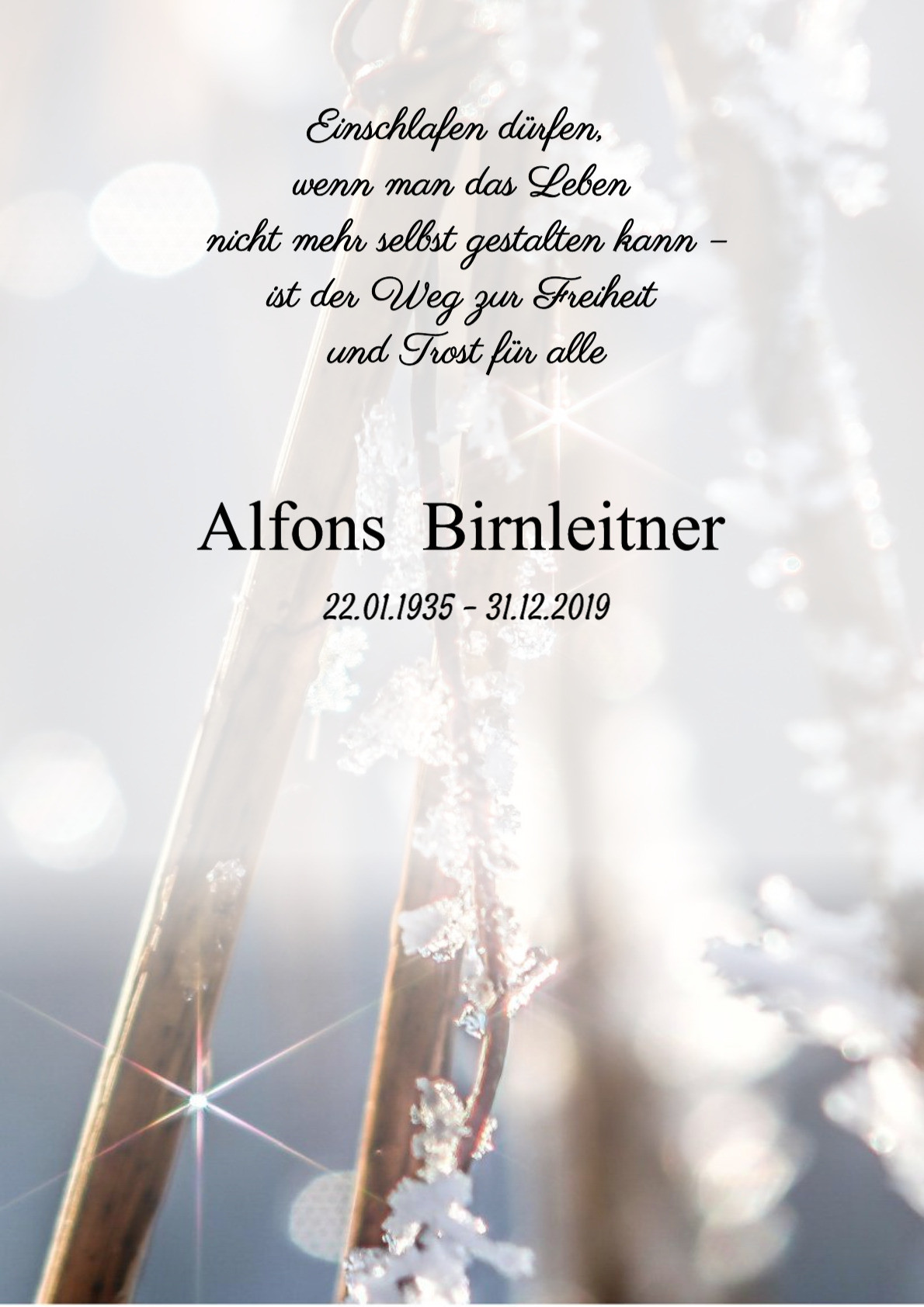 Traueranzeige von Alfons Birnleitner