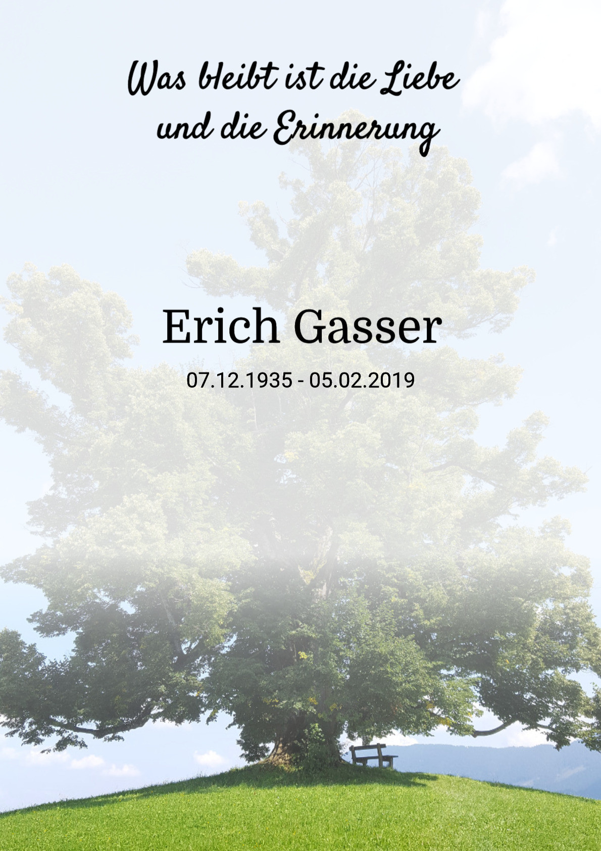 Traueranzeige von Erich Gasser