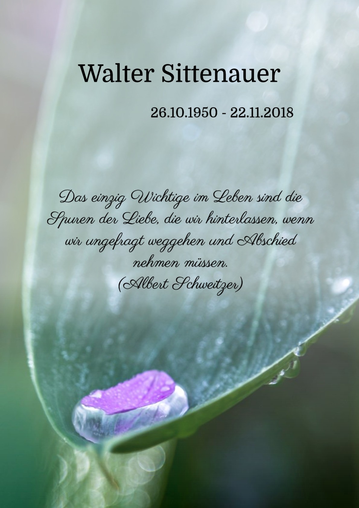 Traueranzeige von Walter Sittenauer
