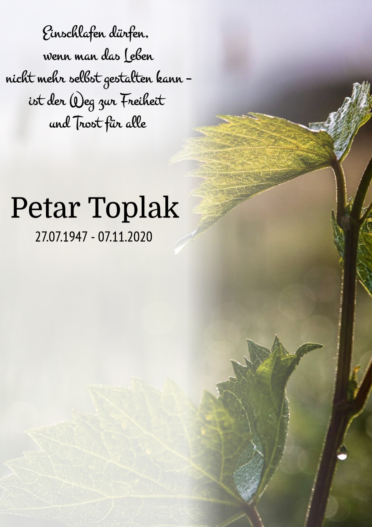 Traueranzeige von Petar Toplak