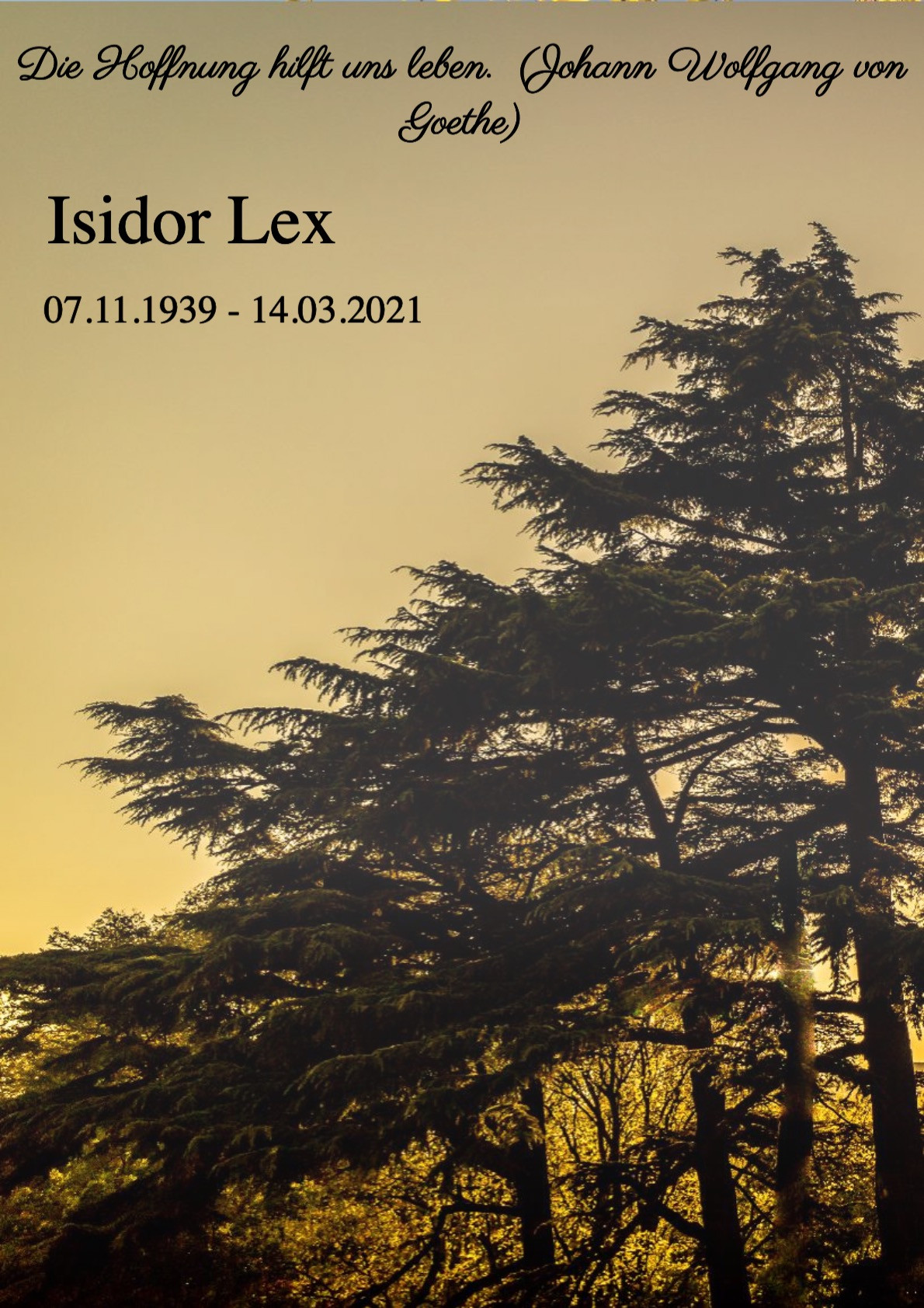Traueranzeige von Isidor Lex