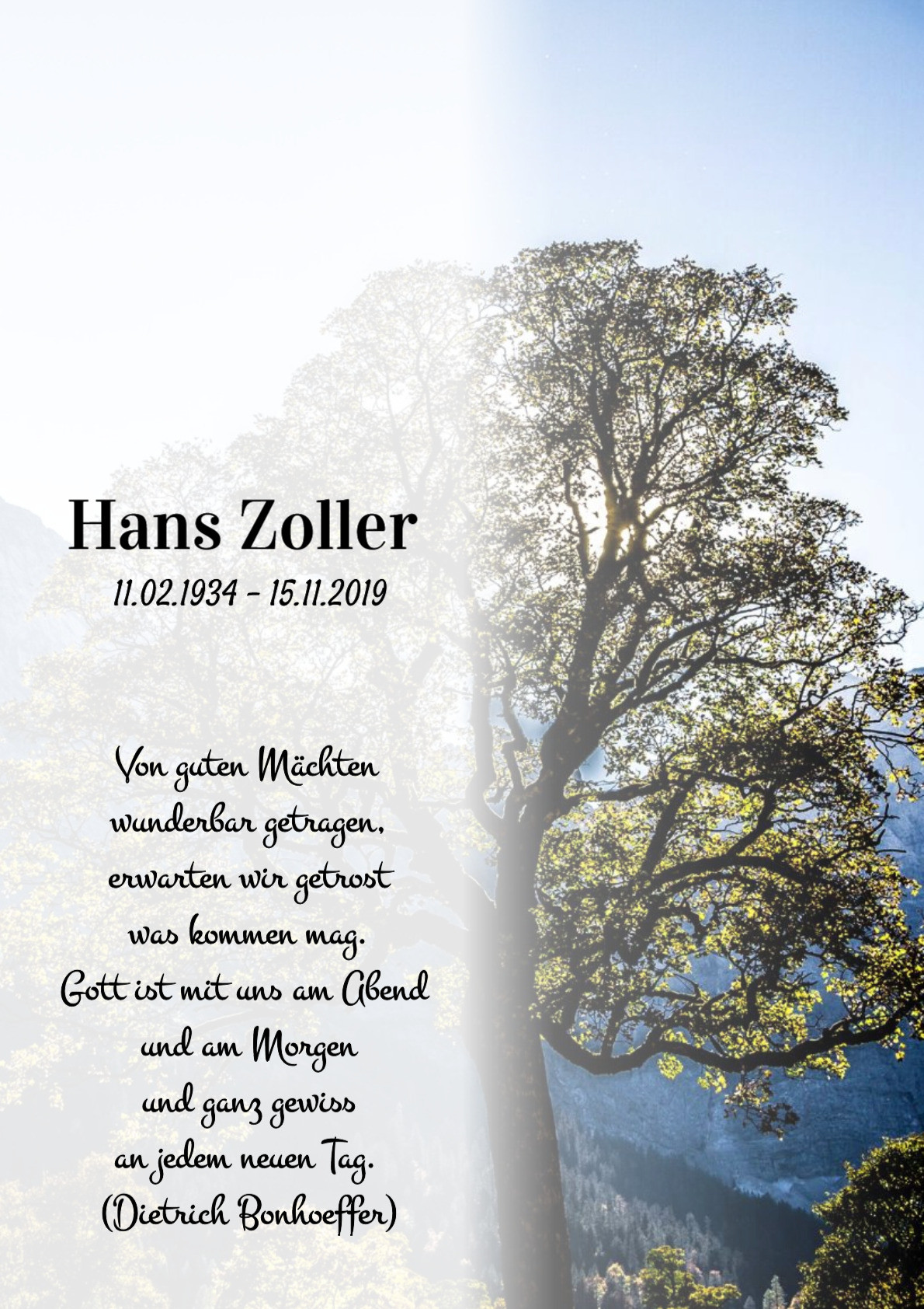 Traueranzeige von Hans Zoller