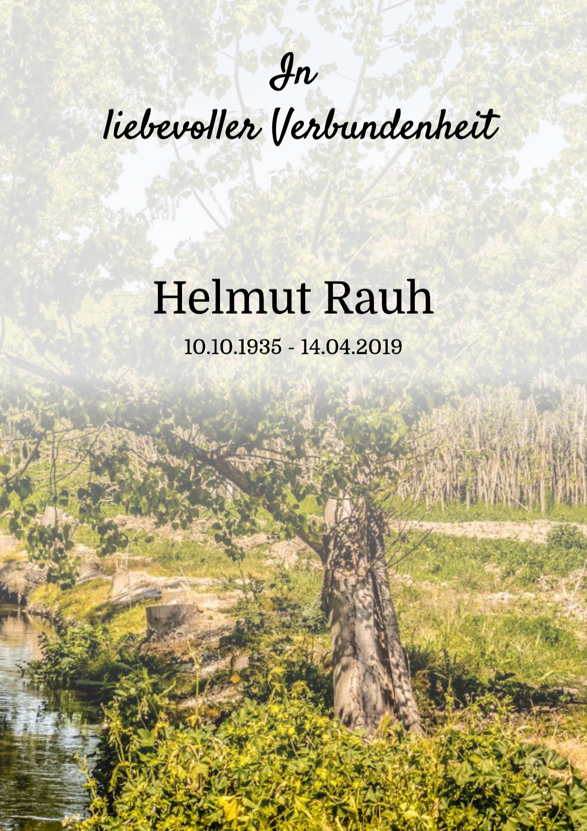 Traueranzeige von Helmut Rauh