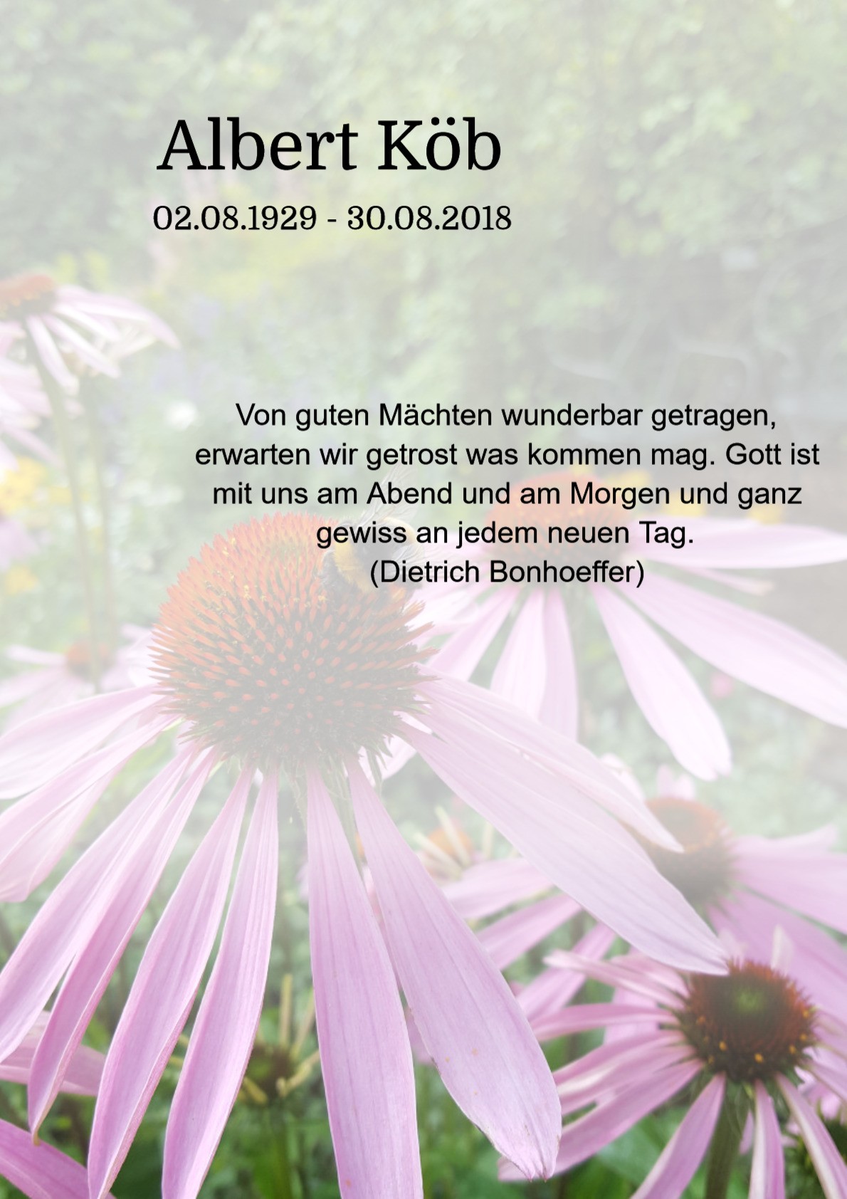 Traueranzeige von Albert Köb