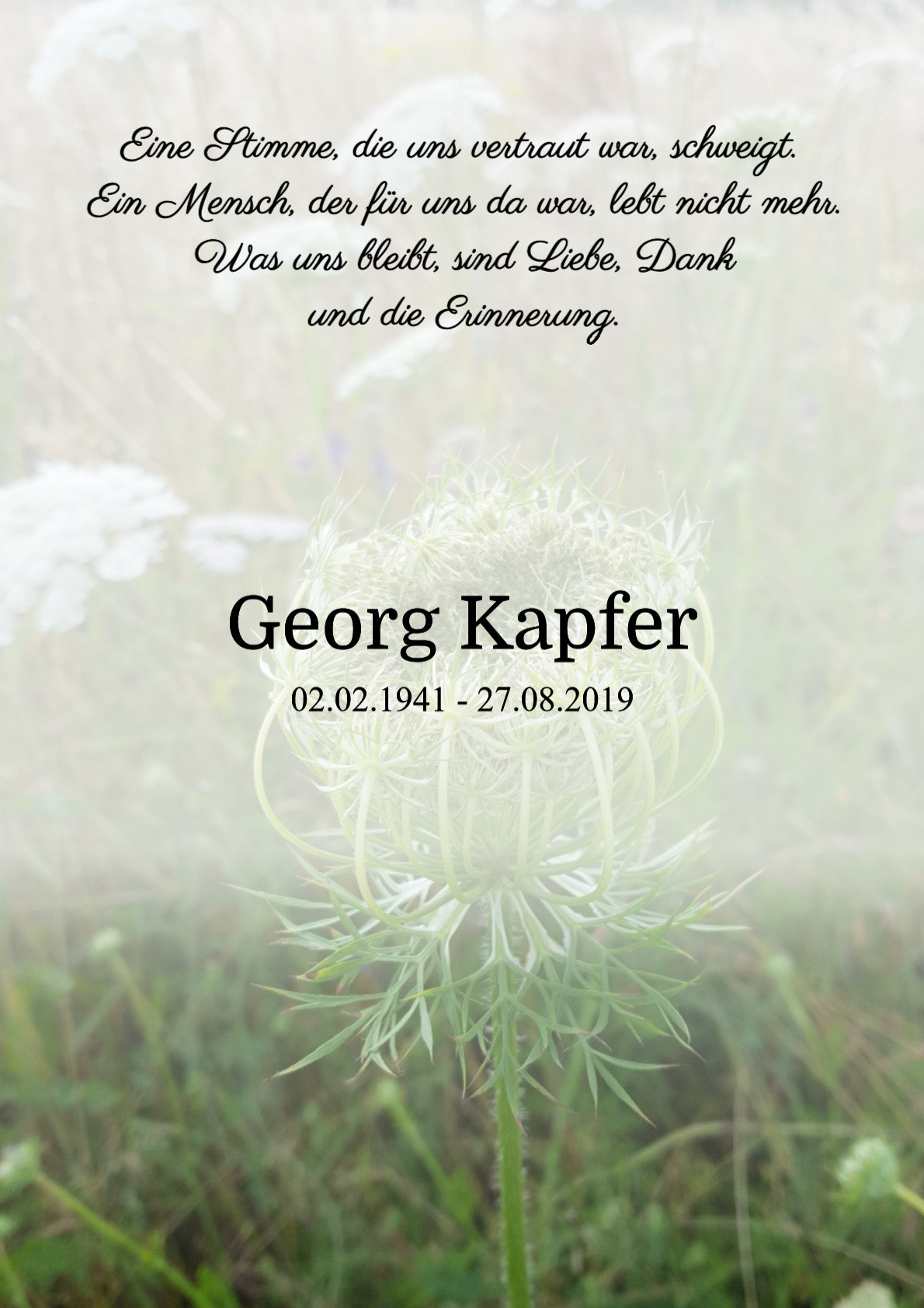 Traueranzeige von Georg Kapfer