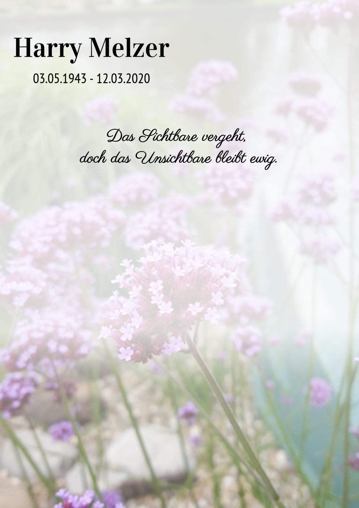 Traueranzeige von Harry Melzer