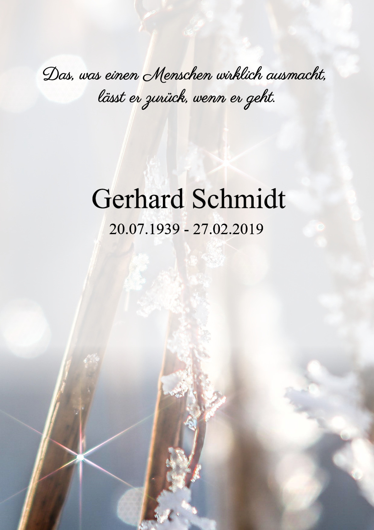 Traueranzeige von Gerhard Schmidt