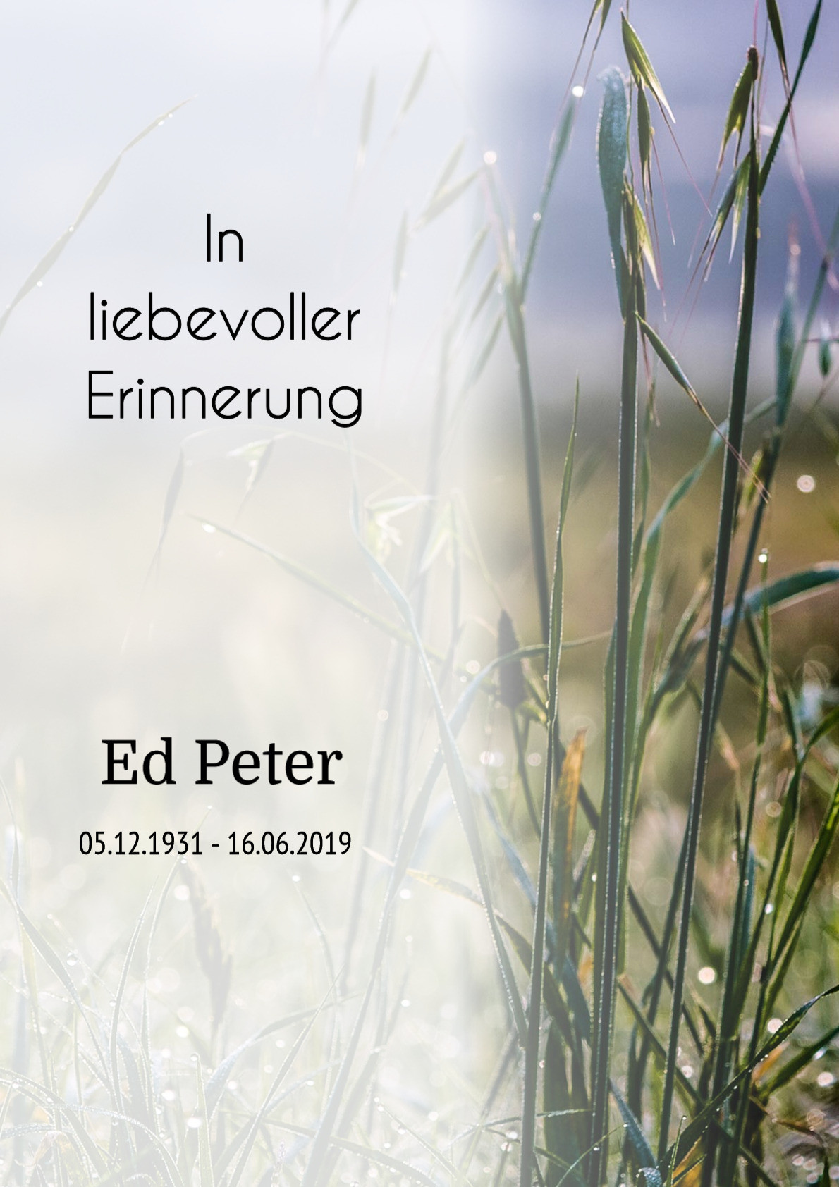 Traueranzeige von Ed Peter