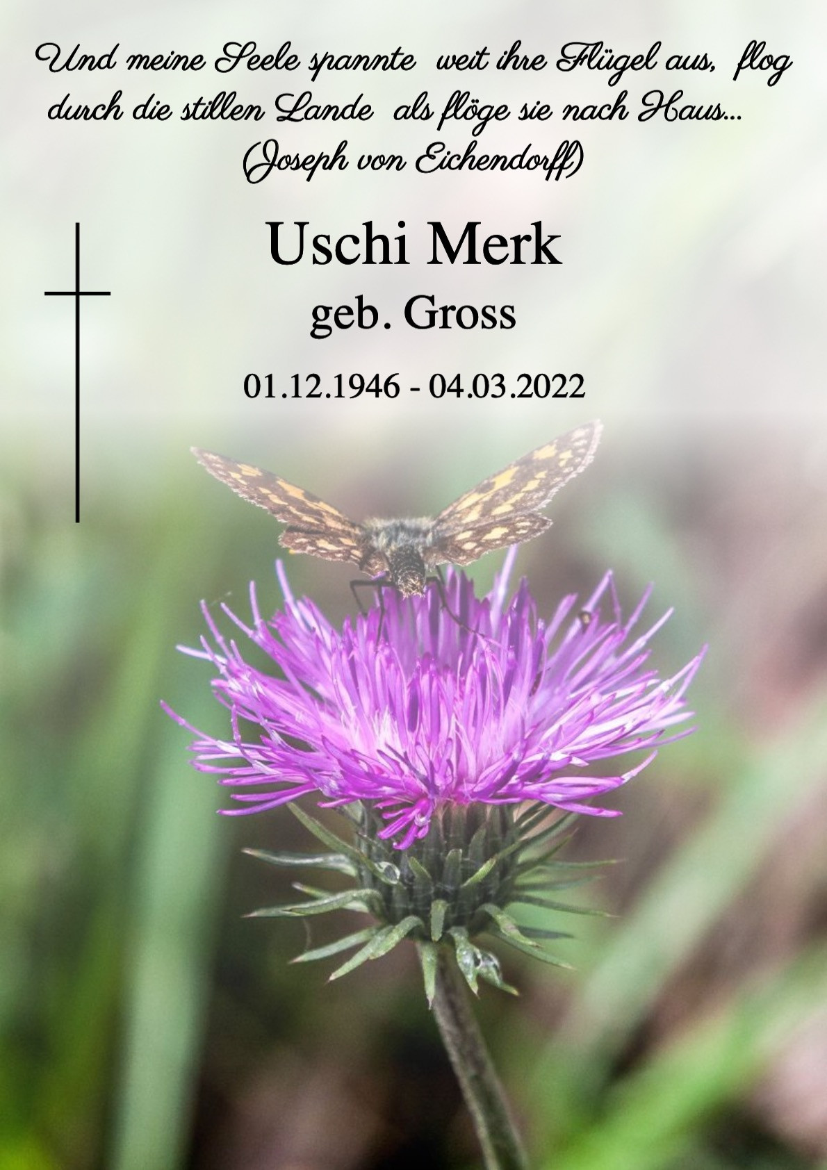Traueranzeige von Uschi Merk