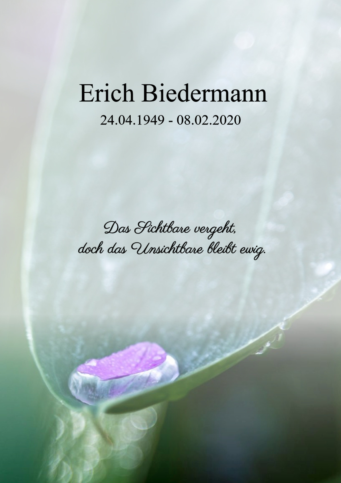 Traueranzeige von Erich Biedermann