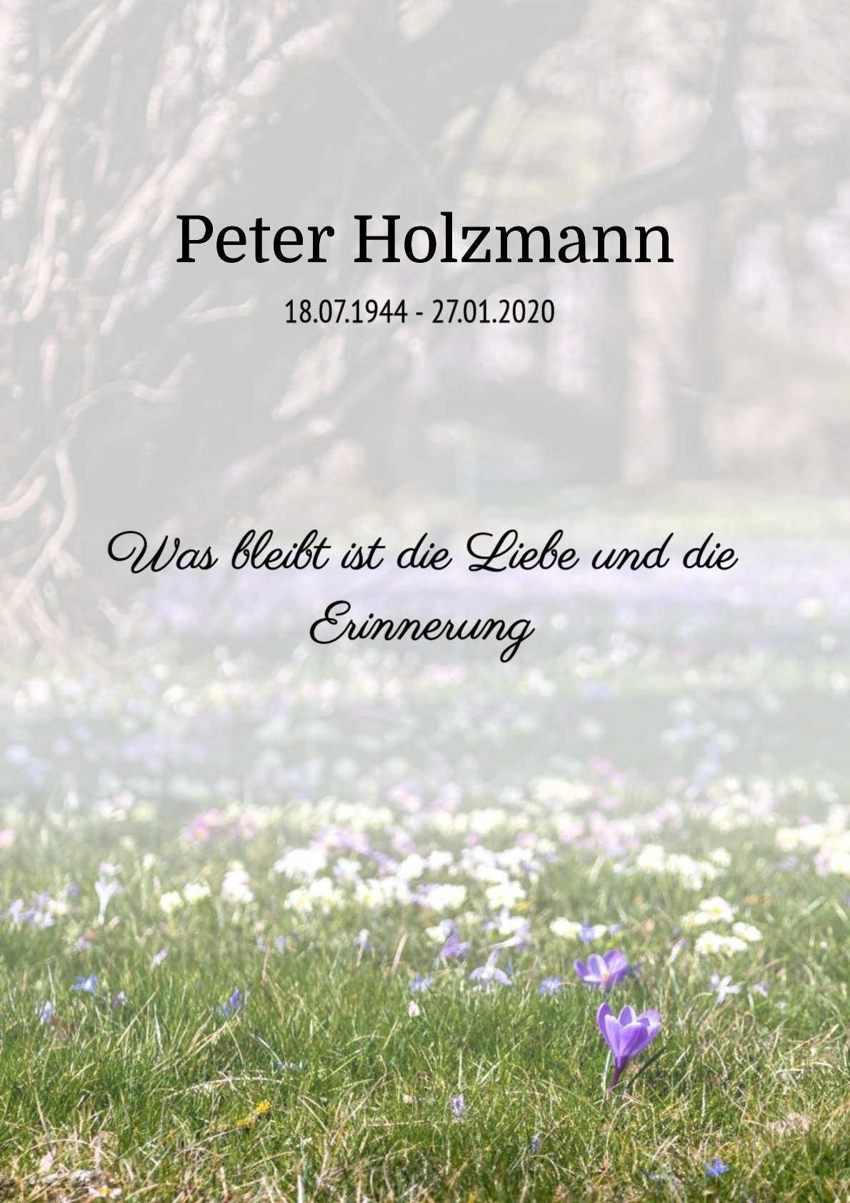 Traueranzeige von Peter Holzmann