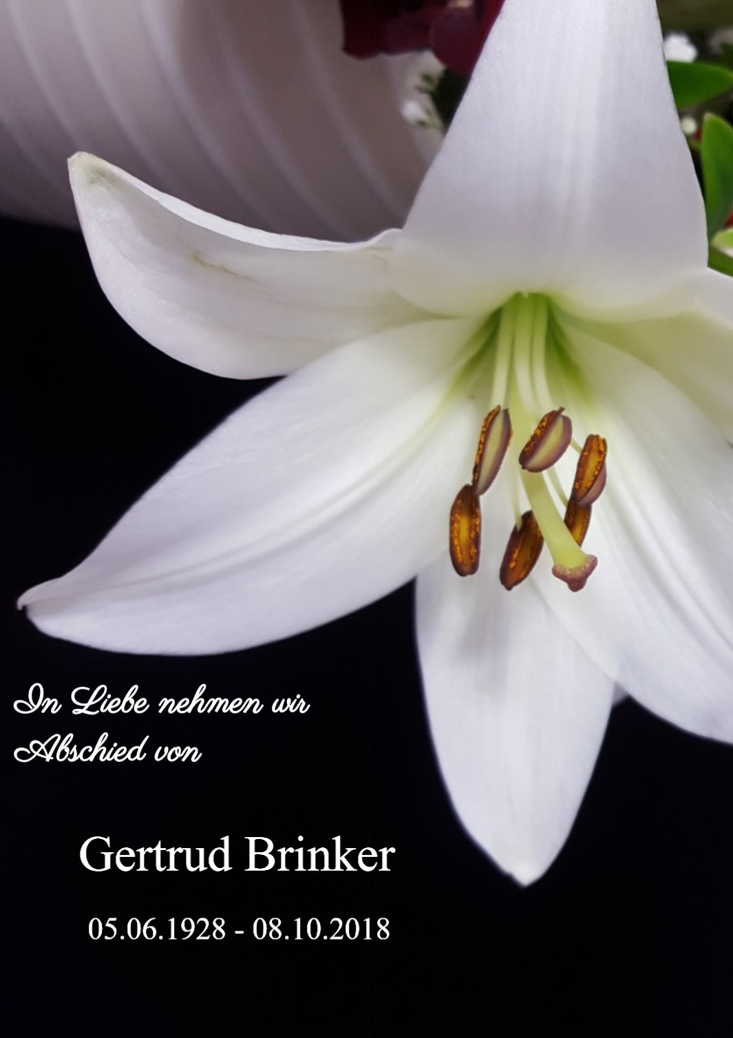 Traueranzeige von Gertrud Brinker