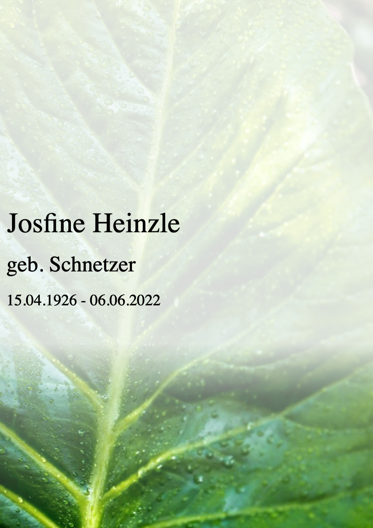 Traueranzeige von Josfine Heinzle