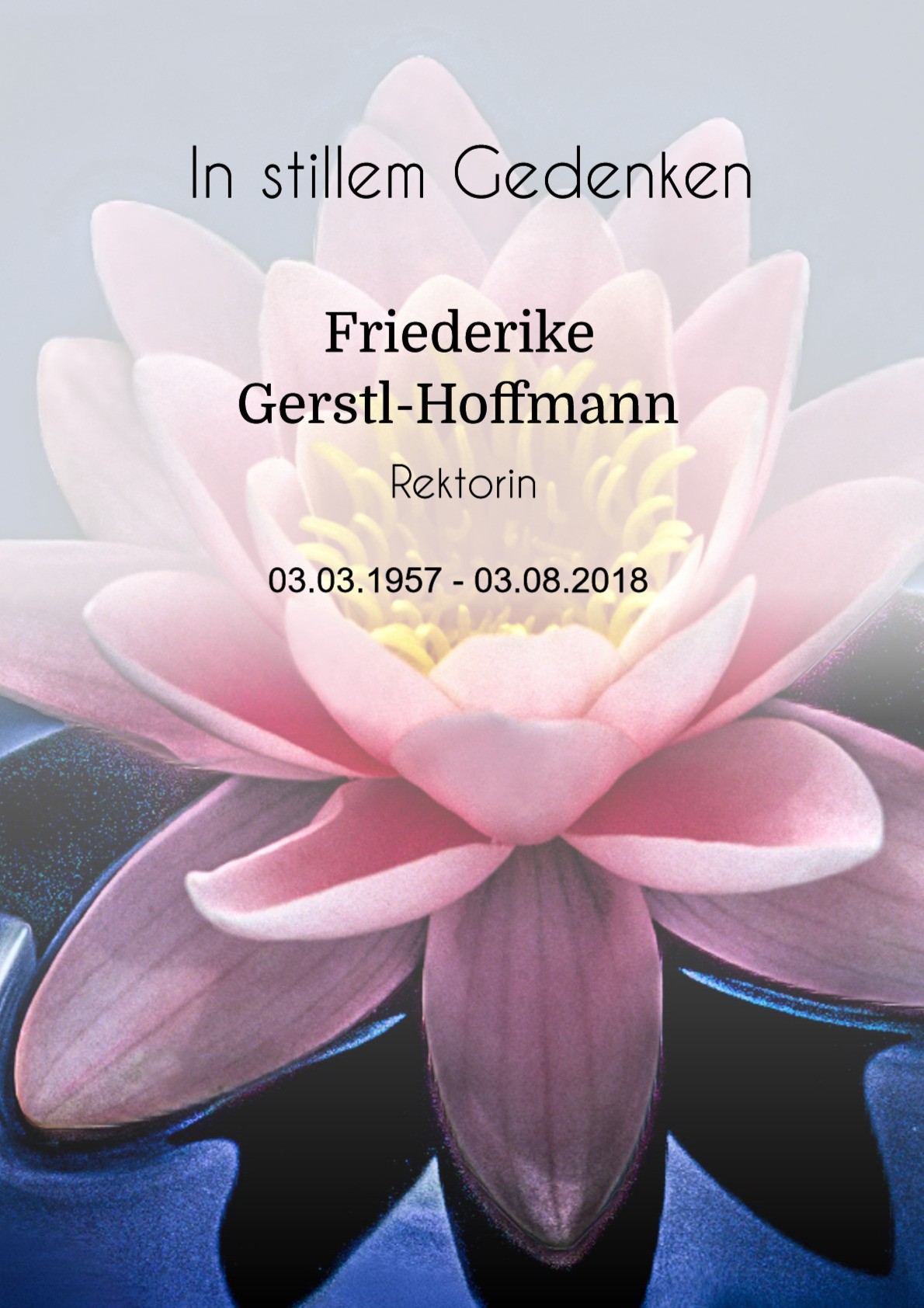 Traueranzeige von Friederike Gerstl-Hoffmann