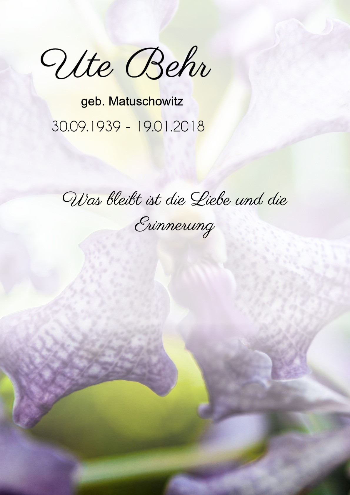 Traueranzeige von Ute Behr