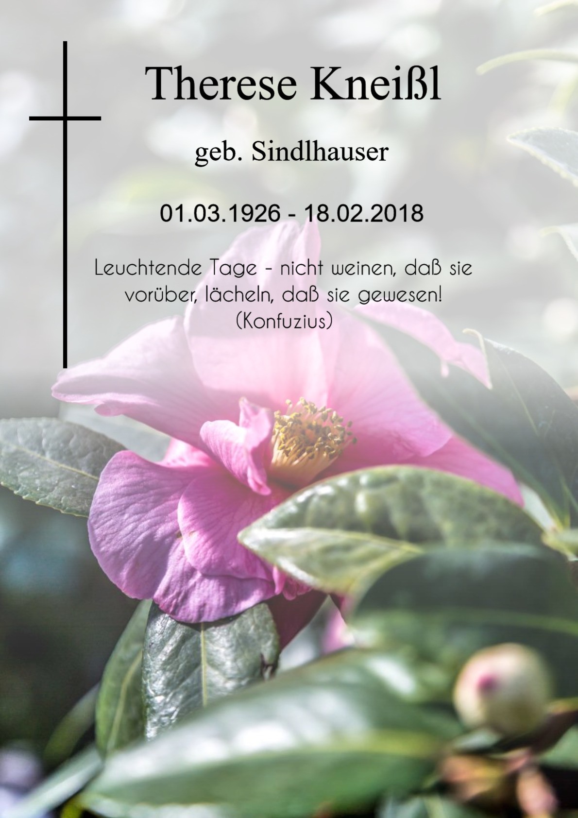 Traueranzeige von Therese Kneißl