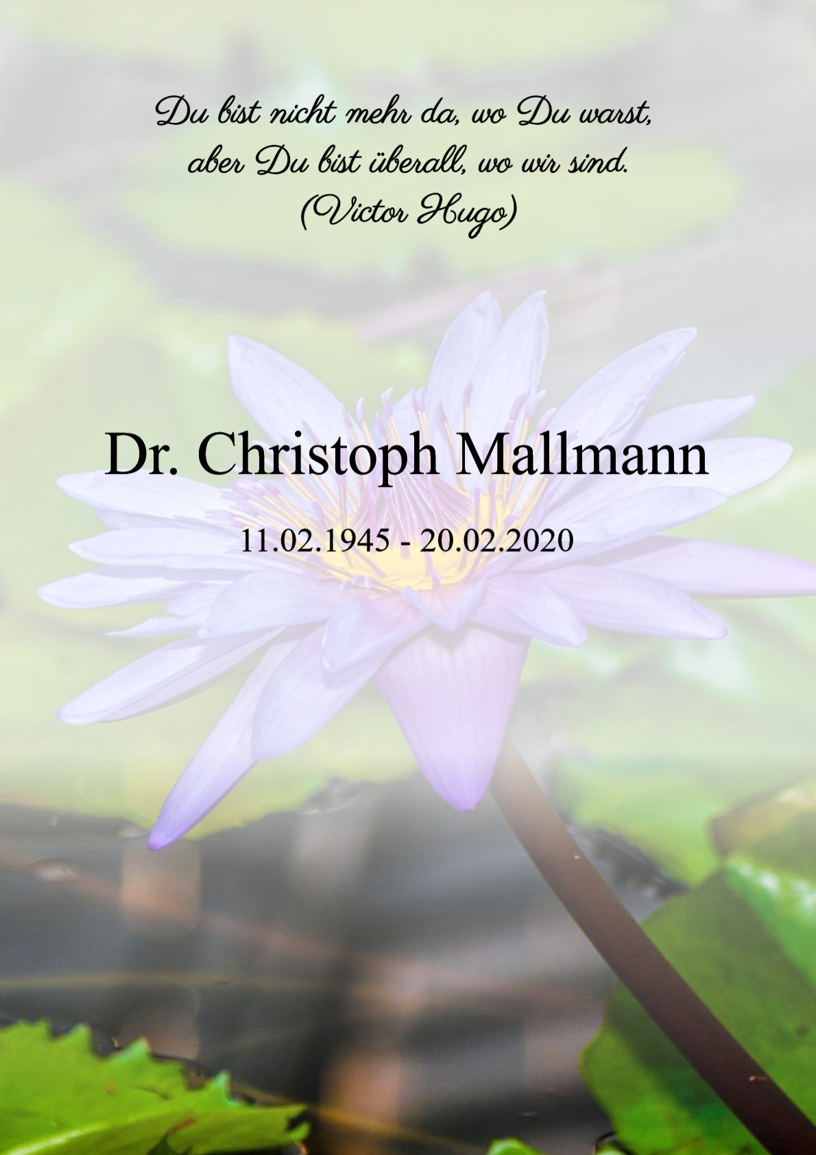 Traueranzeige von Dr. Christoph Mallmann