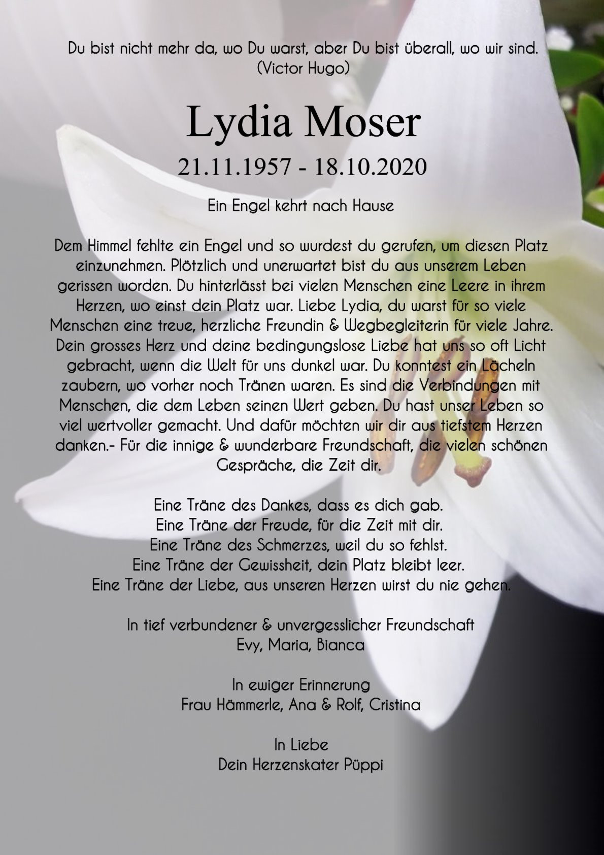 Traueranzeige von Lydia Moser