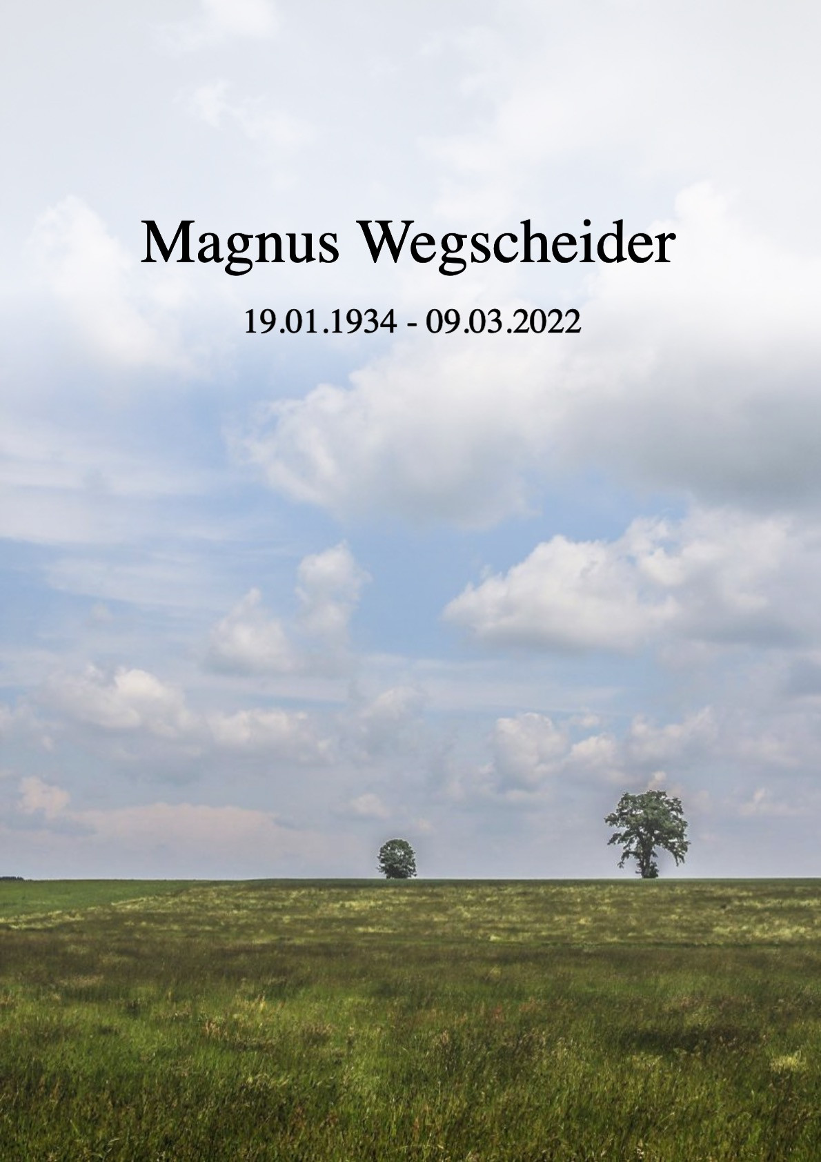 Traueranzeige von Magnus Wegscheider