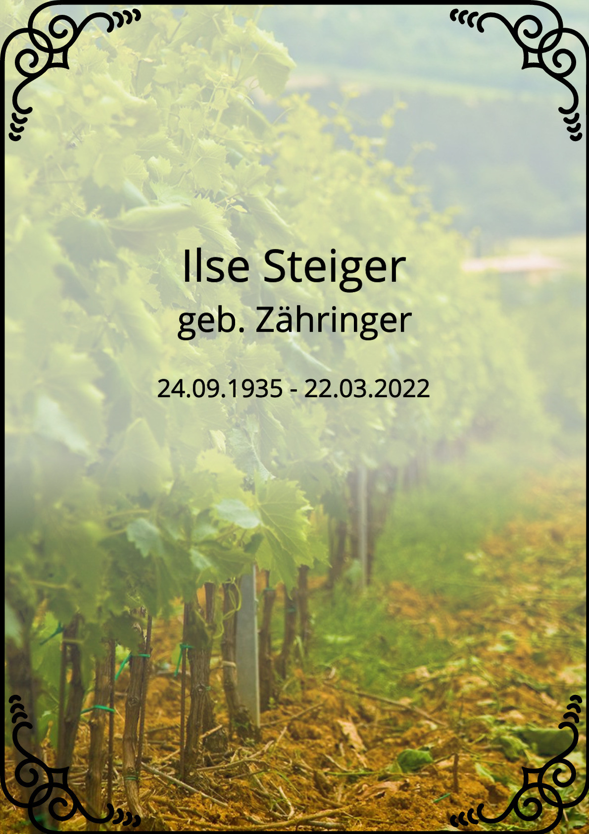 Traueranzeige von Ilse Steiger