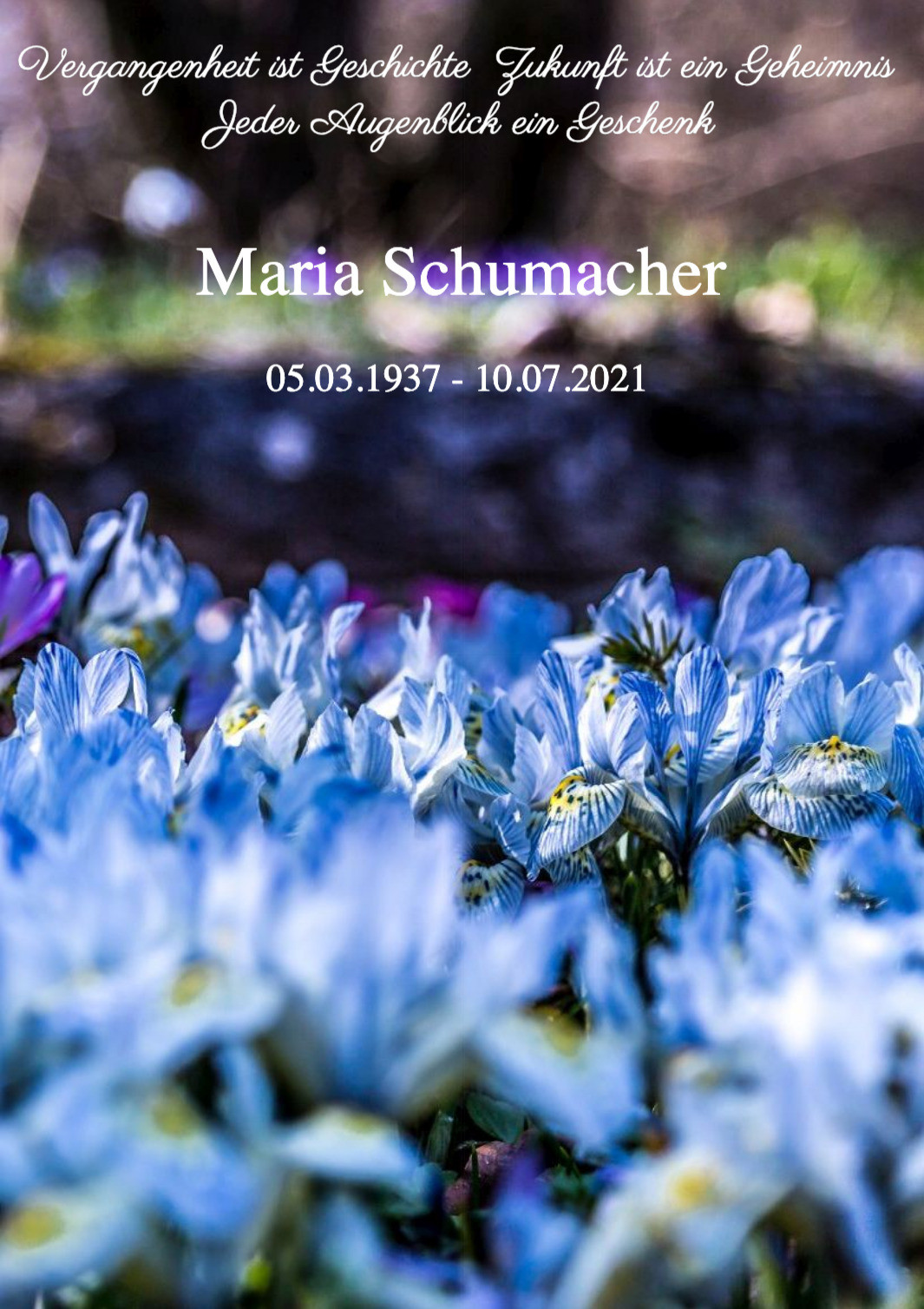 Traueranzeige von Maria Schumacher