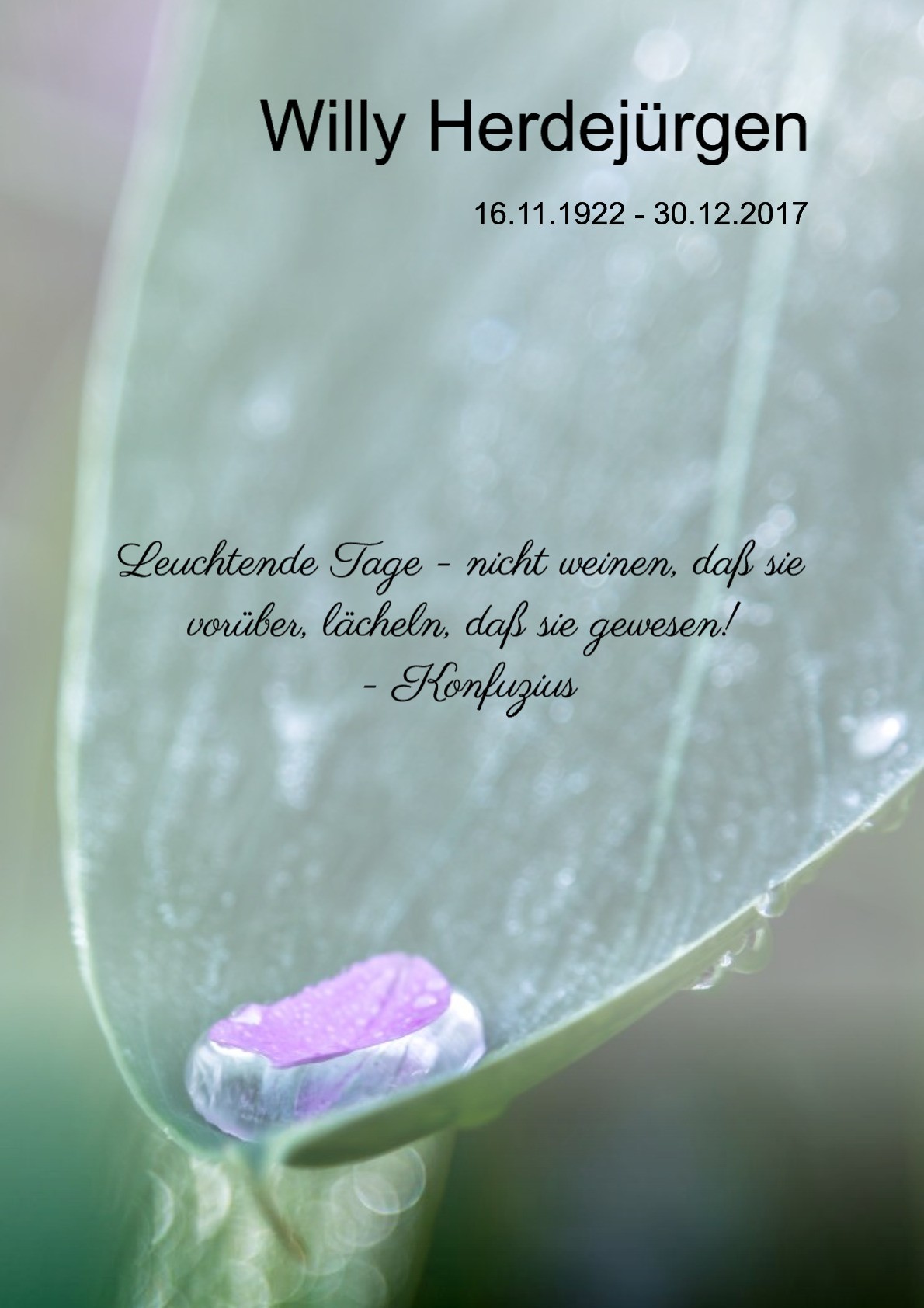 Traueranzeige von Willy Herdejürgen