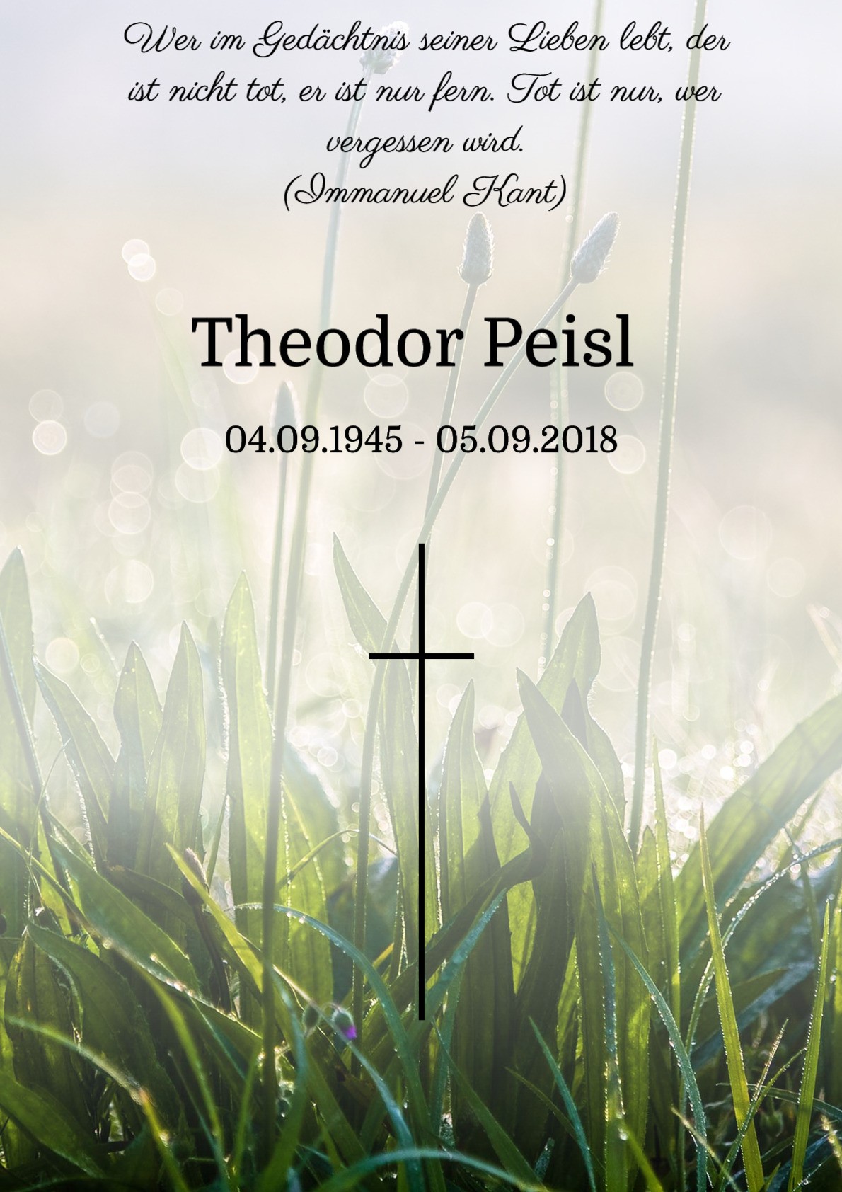 Traueranzeige von Theodor Peisl