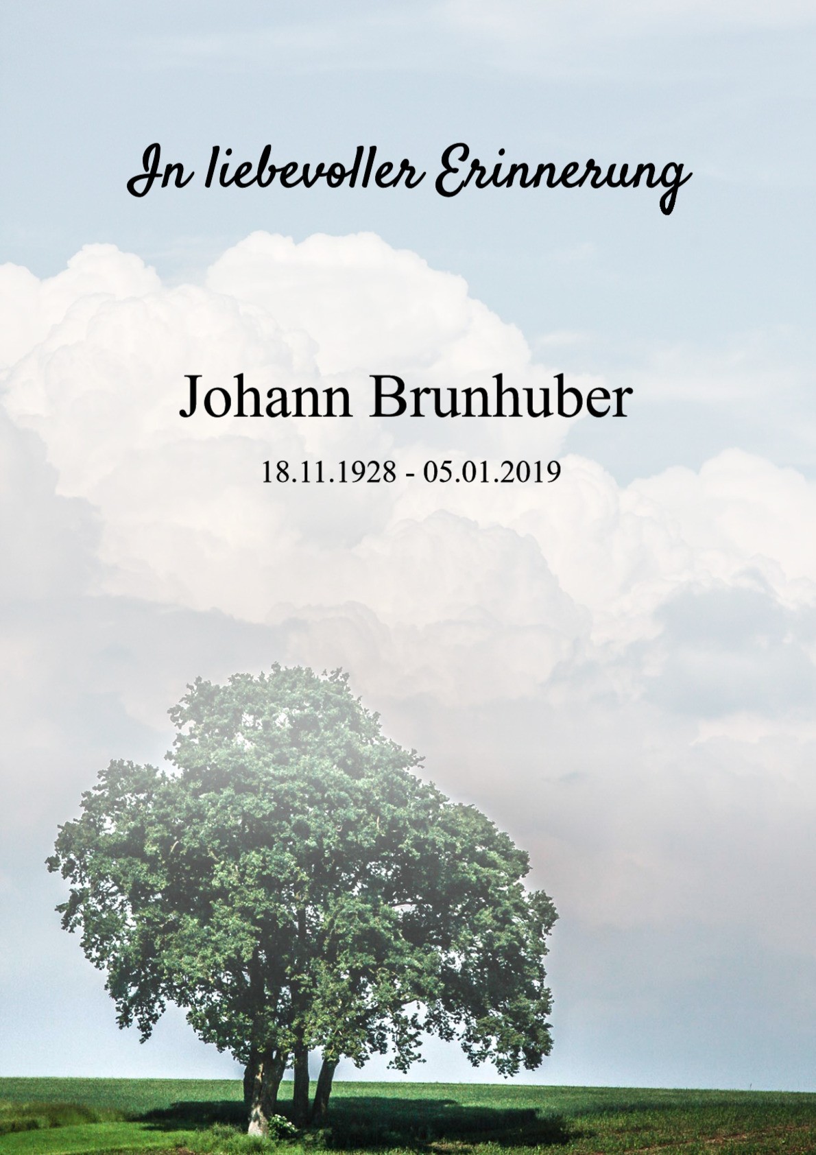 Traueranzeige von Johann Brunhuber