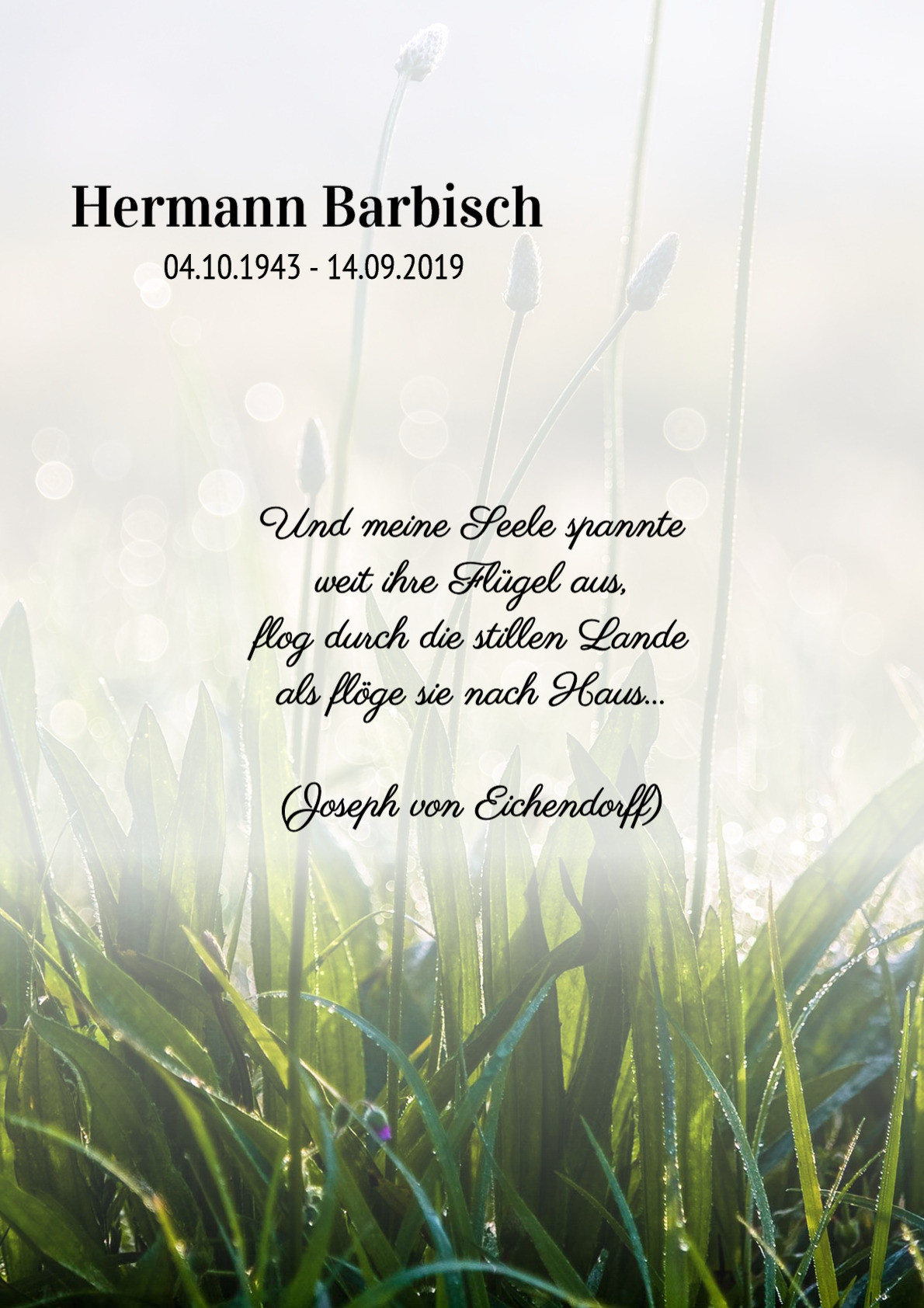 Traueranzeige von Hermann Barbisch