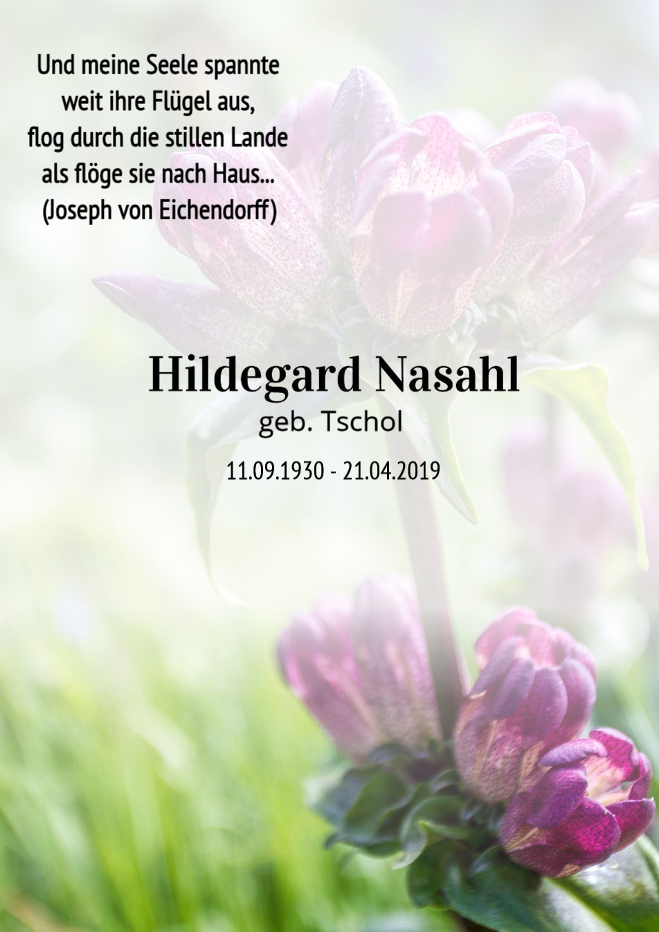 Traueranzeige von Hildegard Nasahl
