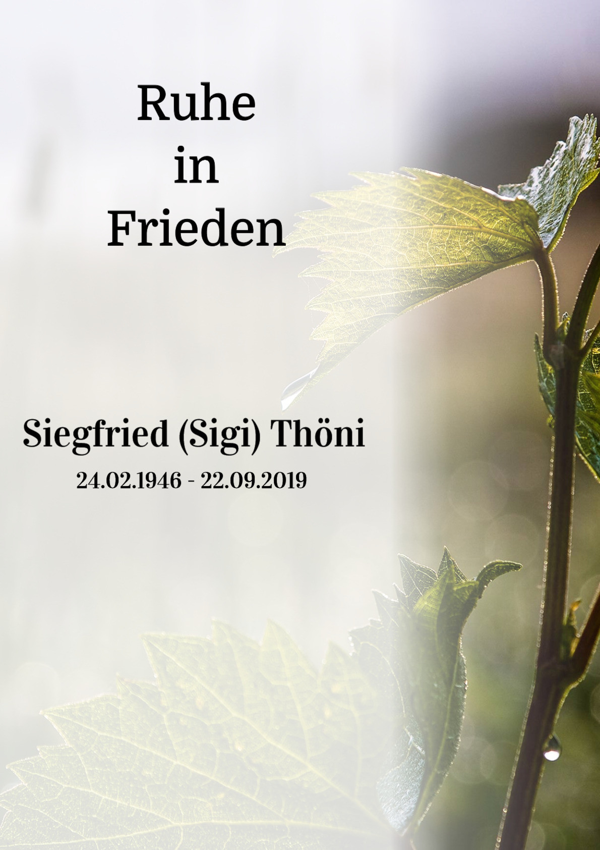 Traueranzeige von Siegfried (Sigi) Thöni