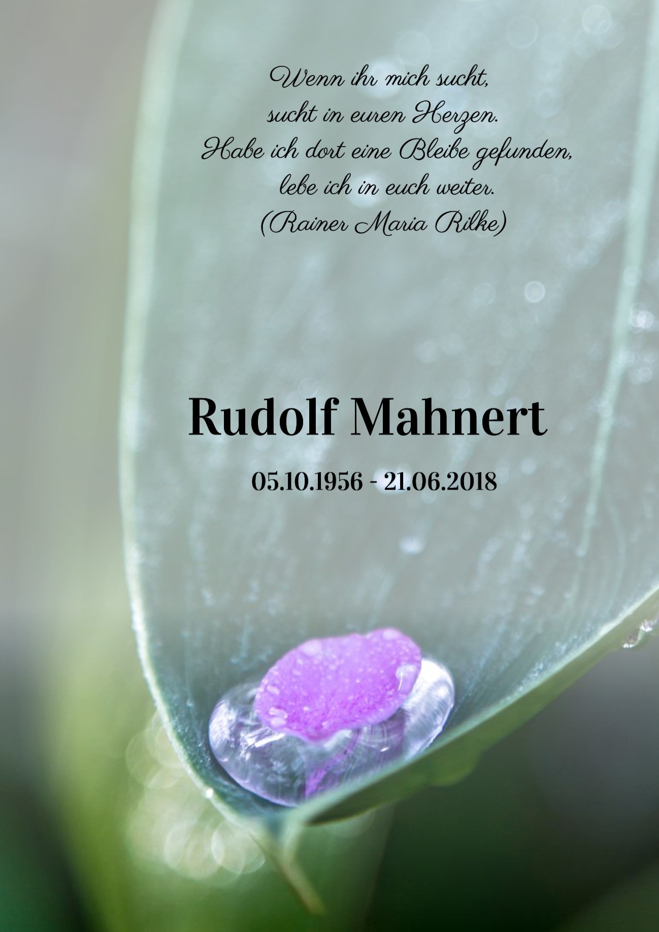 Traueranzeige von Rudolf Mahnert