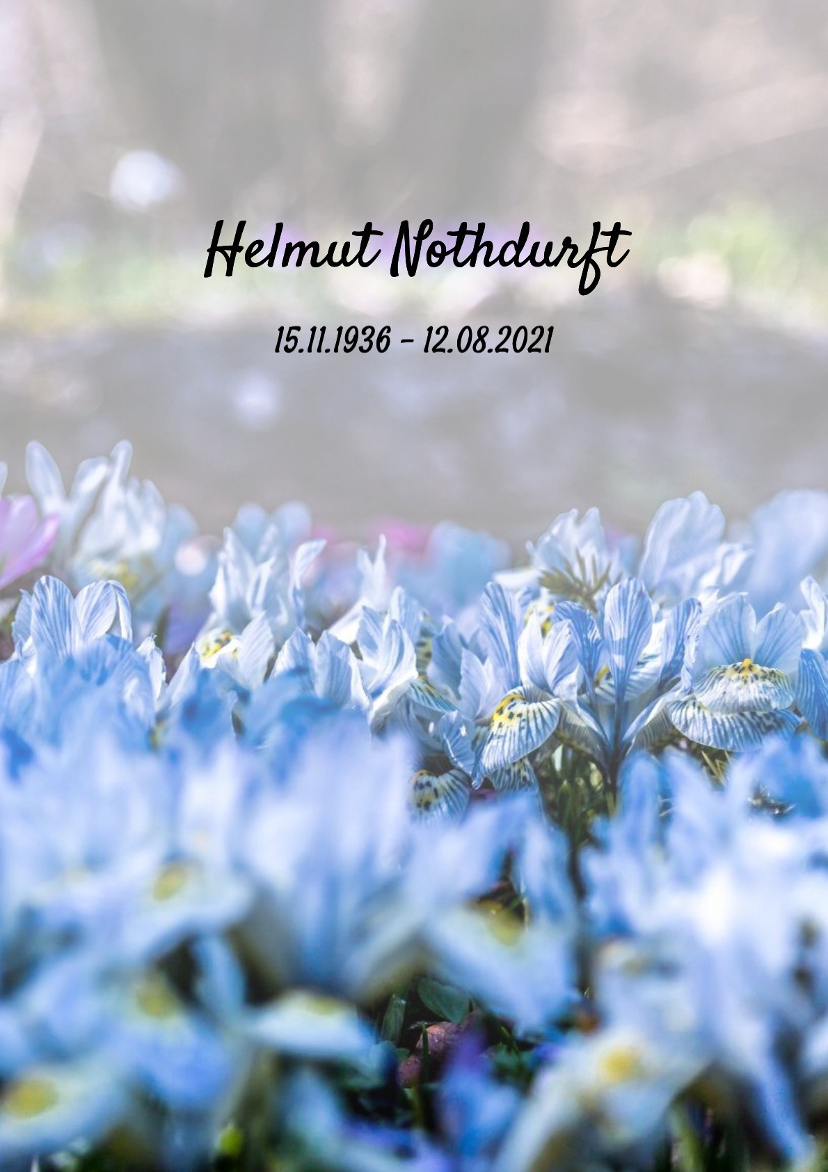 Traueranzeige von Helmut Nothdurft