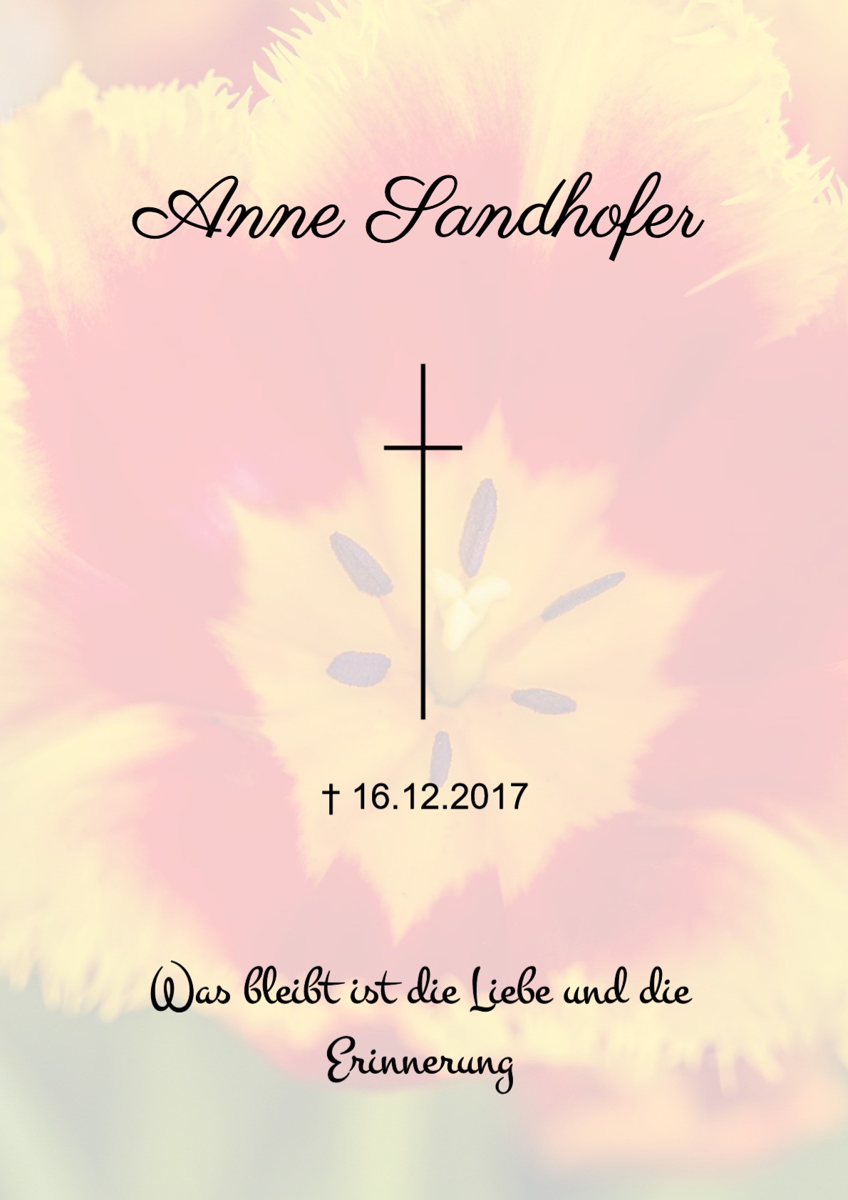 Traueranzeige von Anne Sandhofer