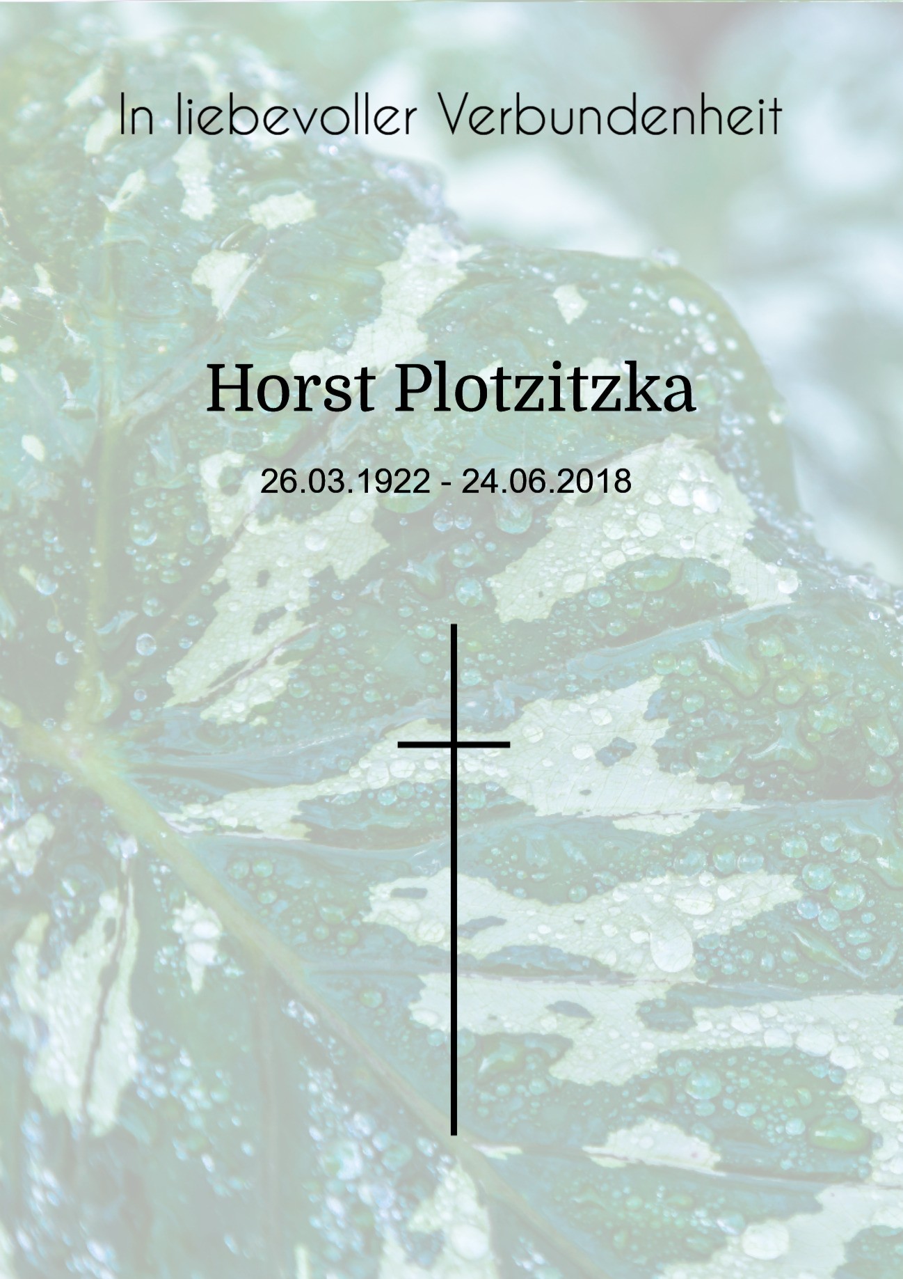 Traueranzeige von Horst Plotzitzka