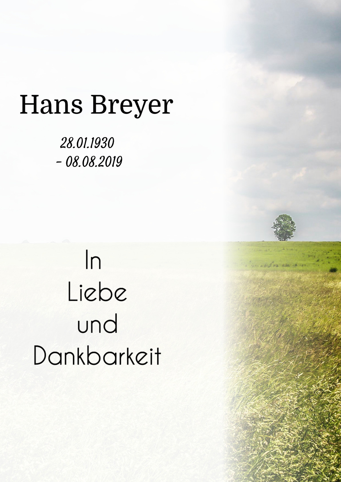 Traueranzeige von Hans Breyer