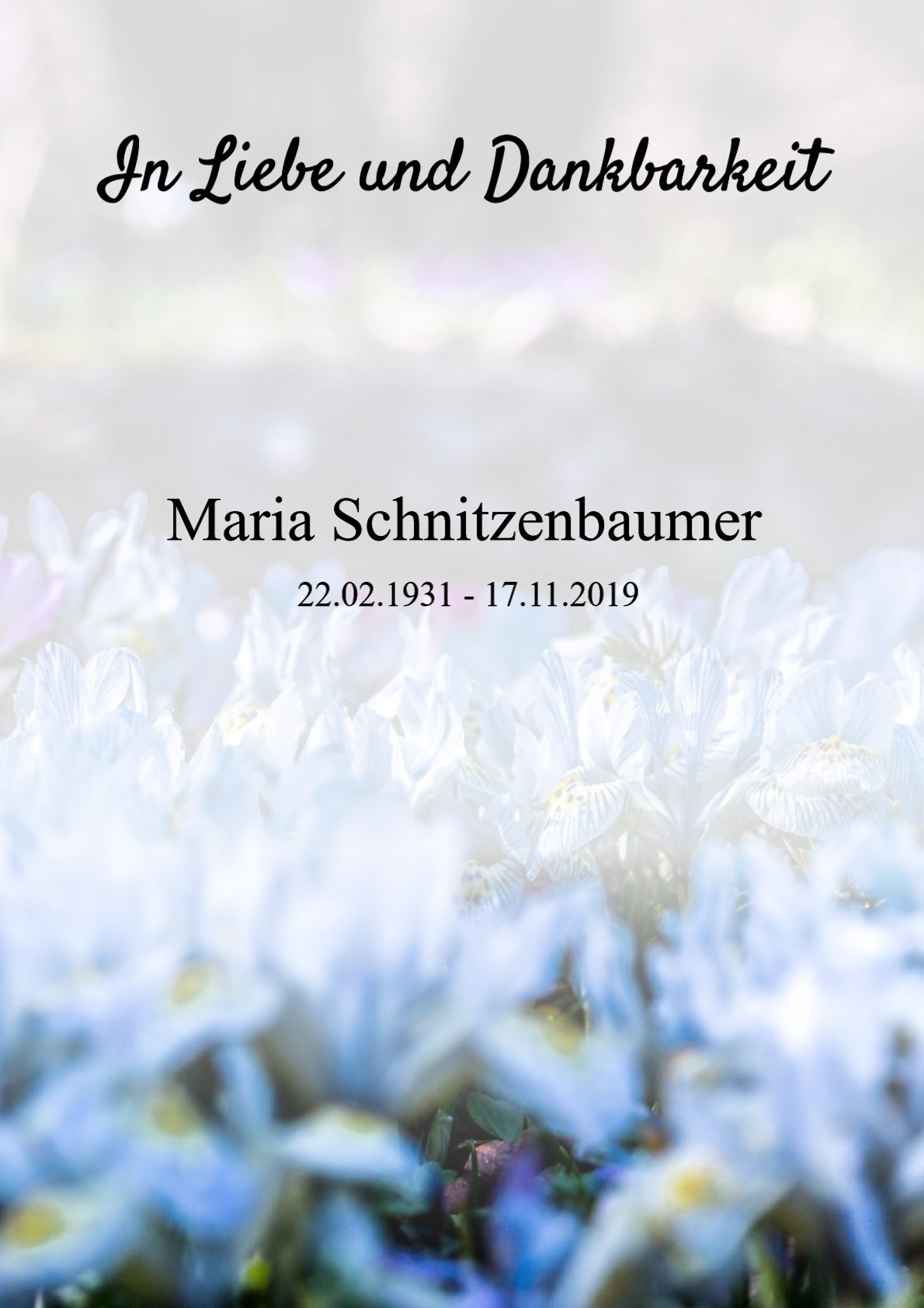 Traueranzeige von Maria Schnitzenbaumer