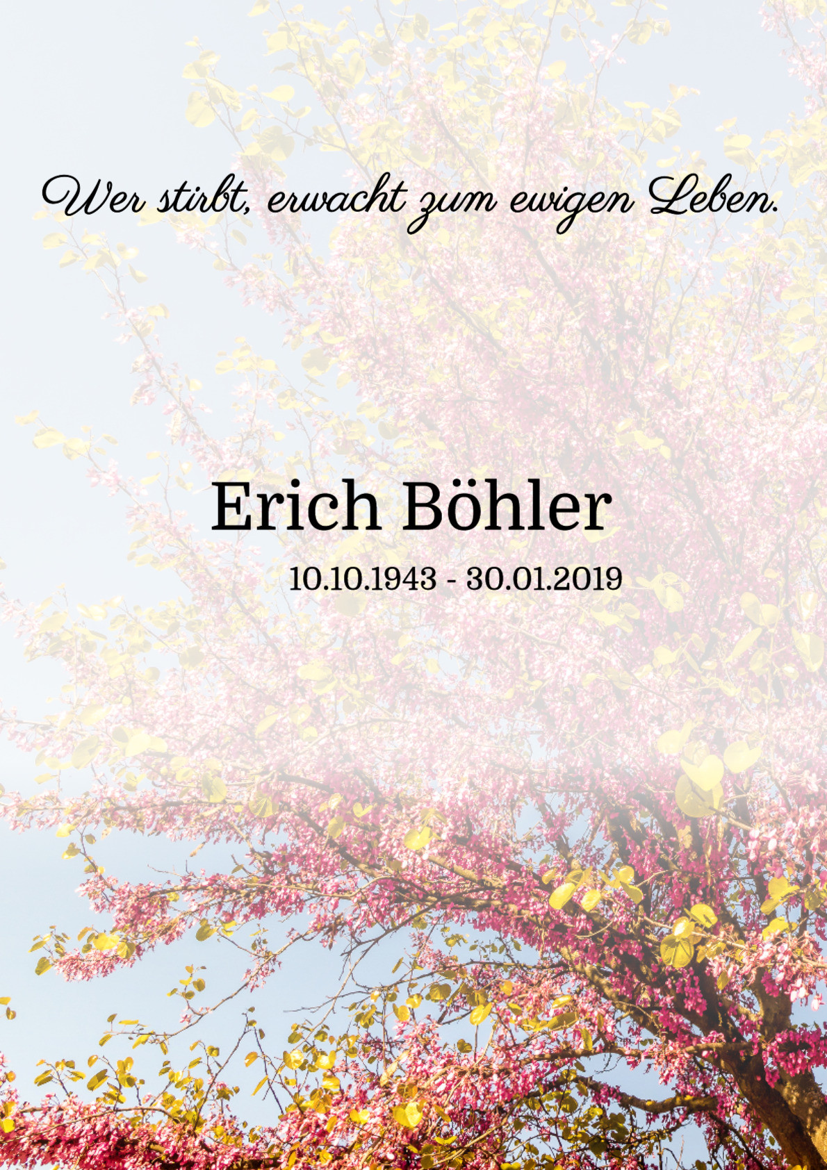 Traueranzeige von Erich Böhler