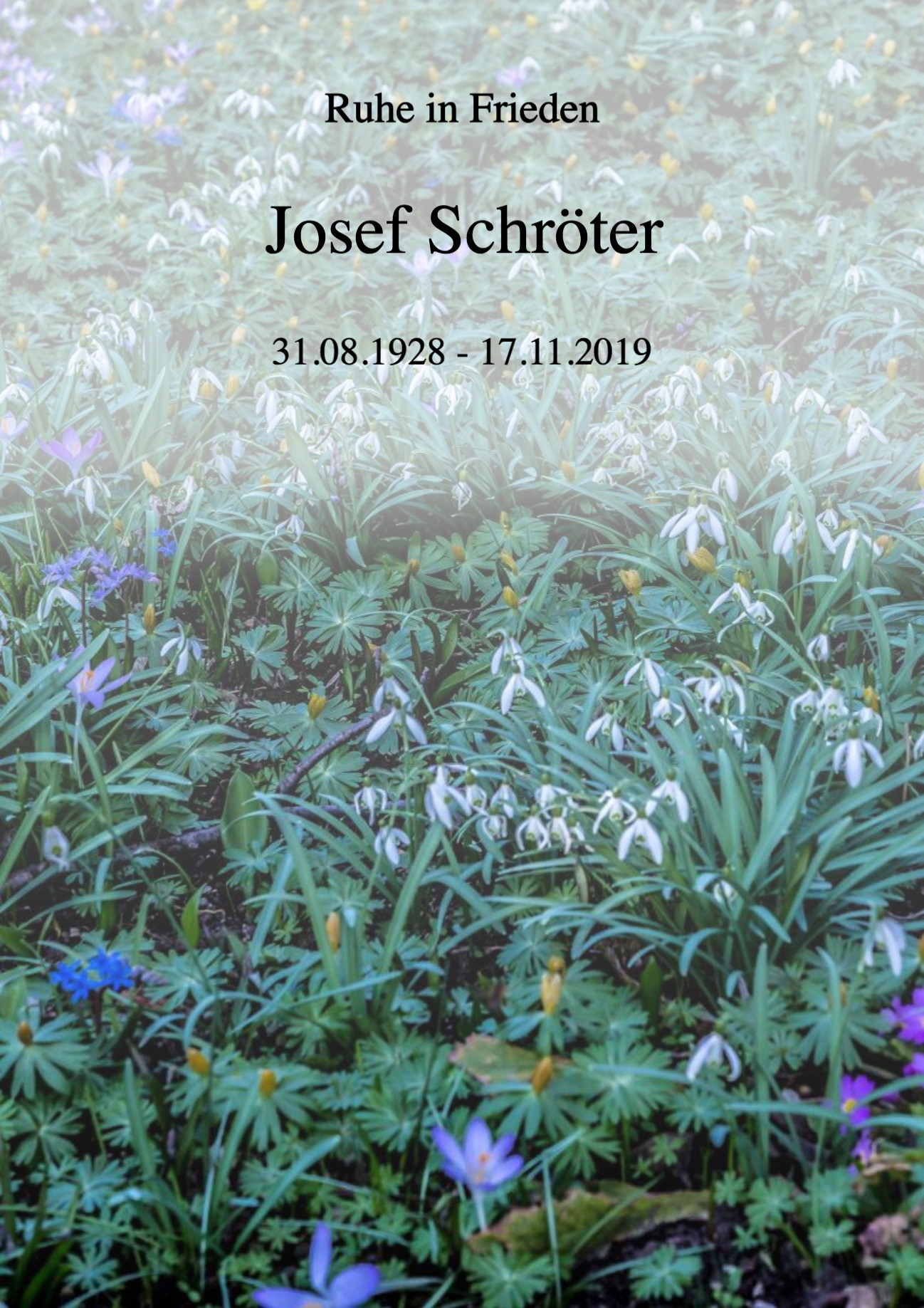 Traueranzeige von Josef Schröter