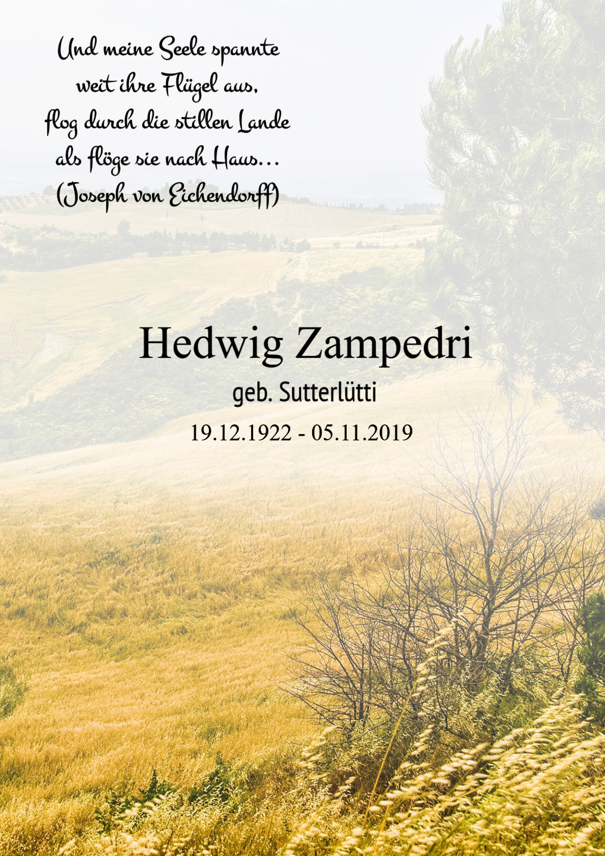 Traueranzeige von Hedwig Zampedri