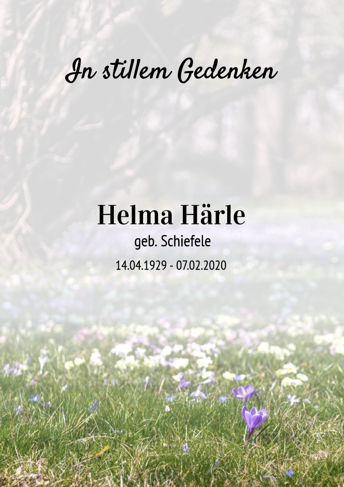 Traueranzeige von Helma Härle